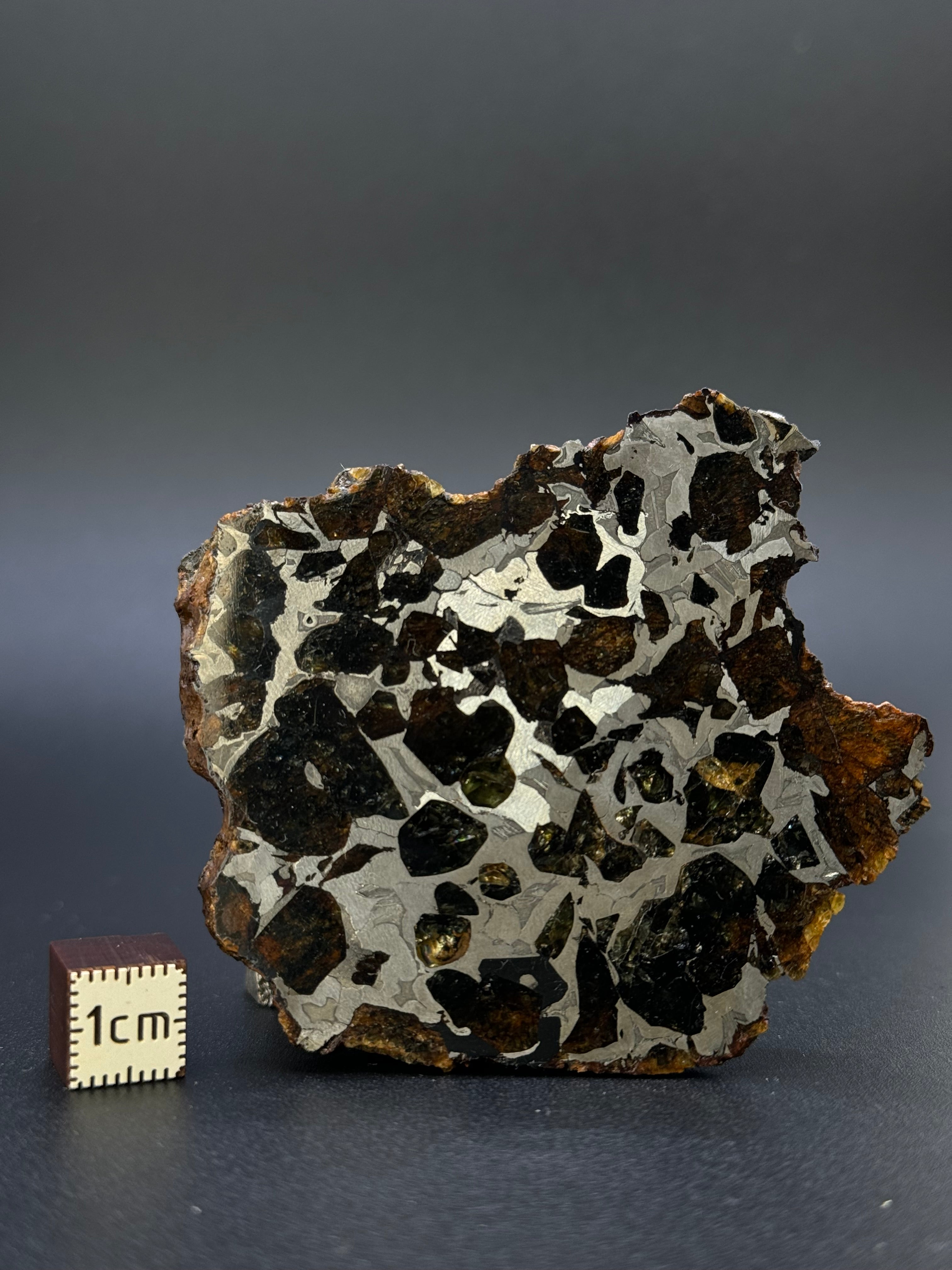 SEYMCHAN METEORITE, MAGADAN REGION, RUSSIA. 96 GRAMS END-CUT.