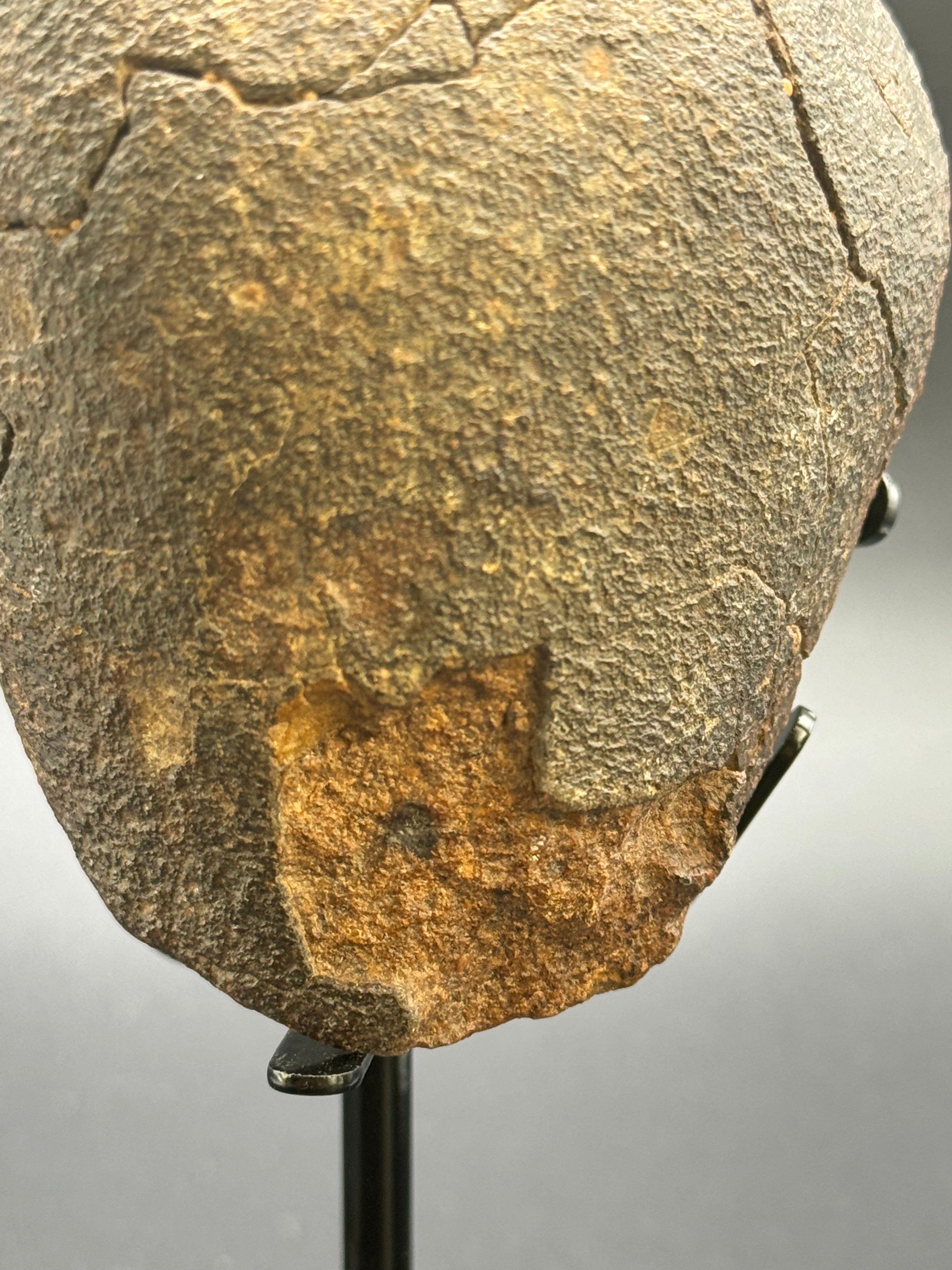 CHONDRITE METEORITE, NORTH WEST AFRICA. 421 GRAMS.