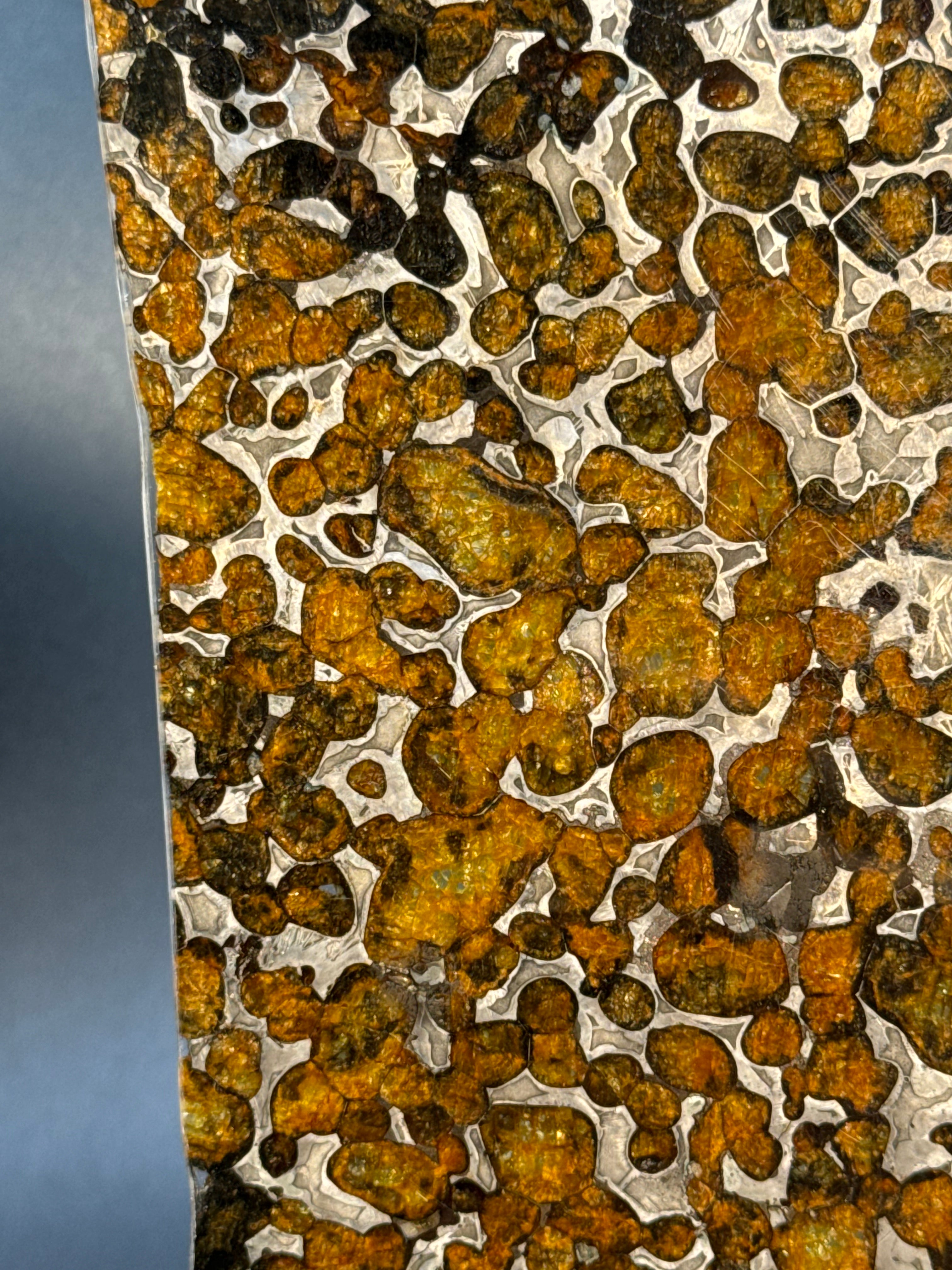 SERICHO METEORITE, KENYA. 116 GRAMS SLICE