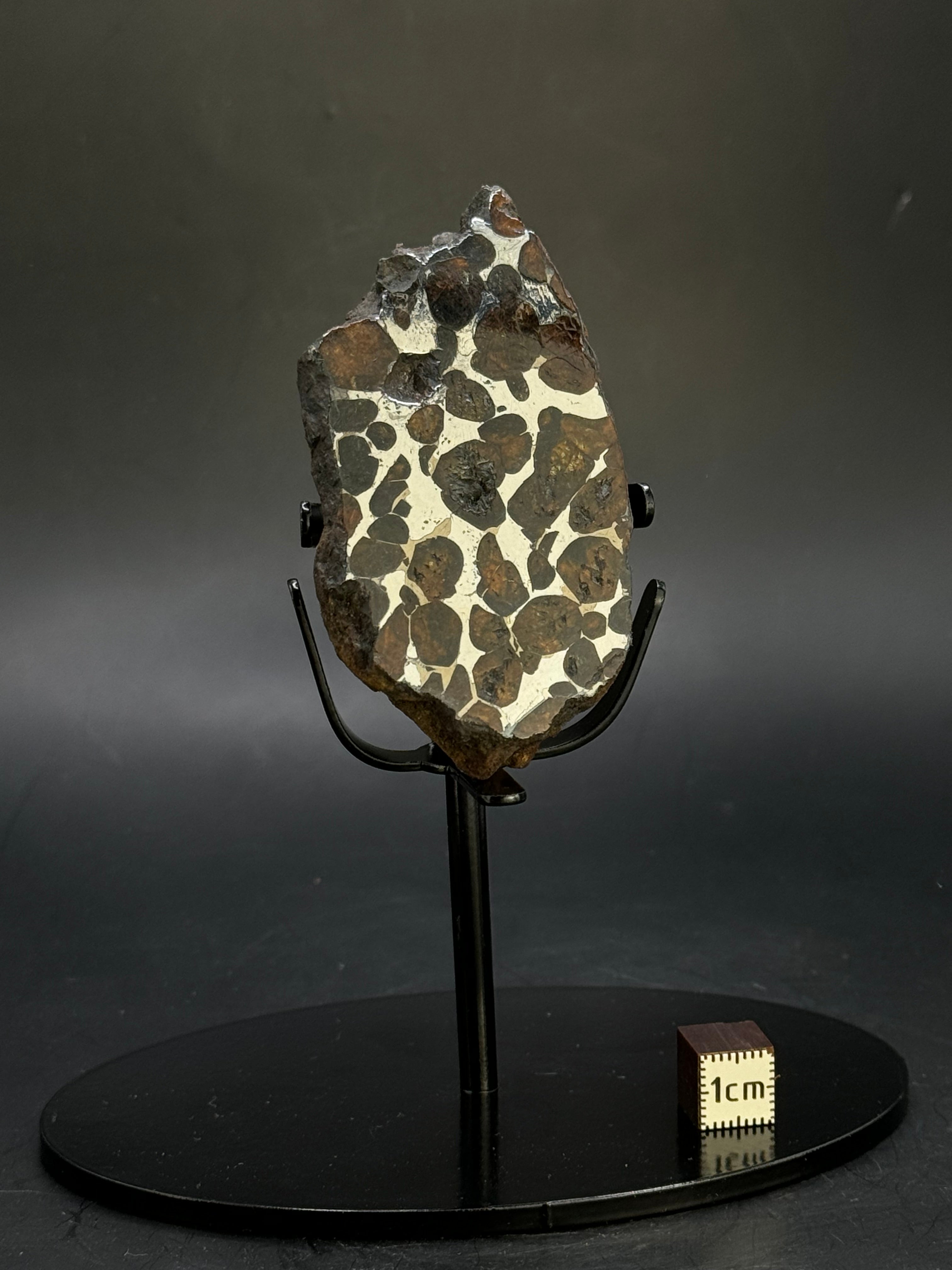 SERICHO PALLASITE METEORITE, KENYA. 143,41 GRAMS END-CUT.