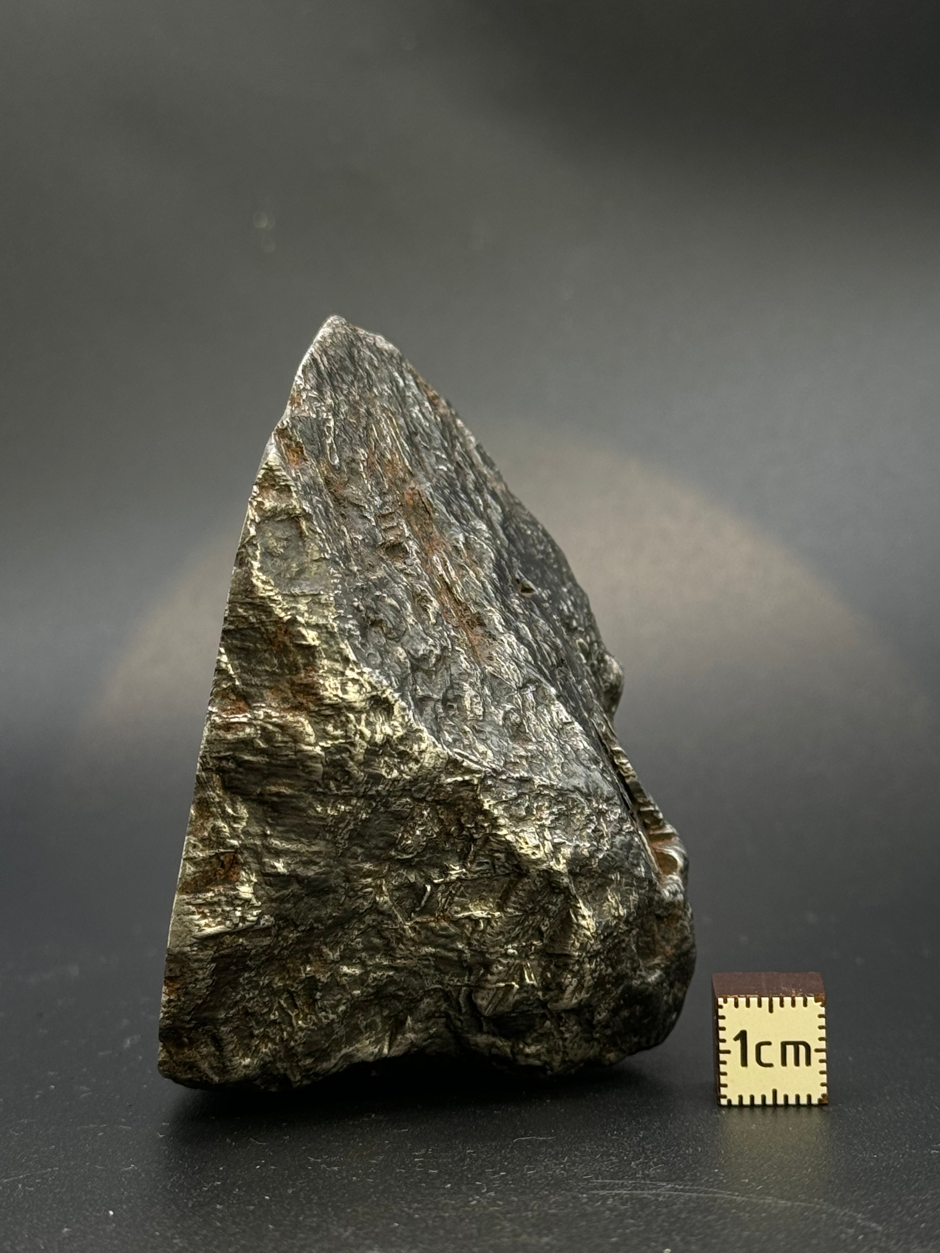 MUONIONALUSTA METEORITE, SWEDEN. 701 GRAMS END-CUT.