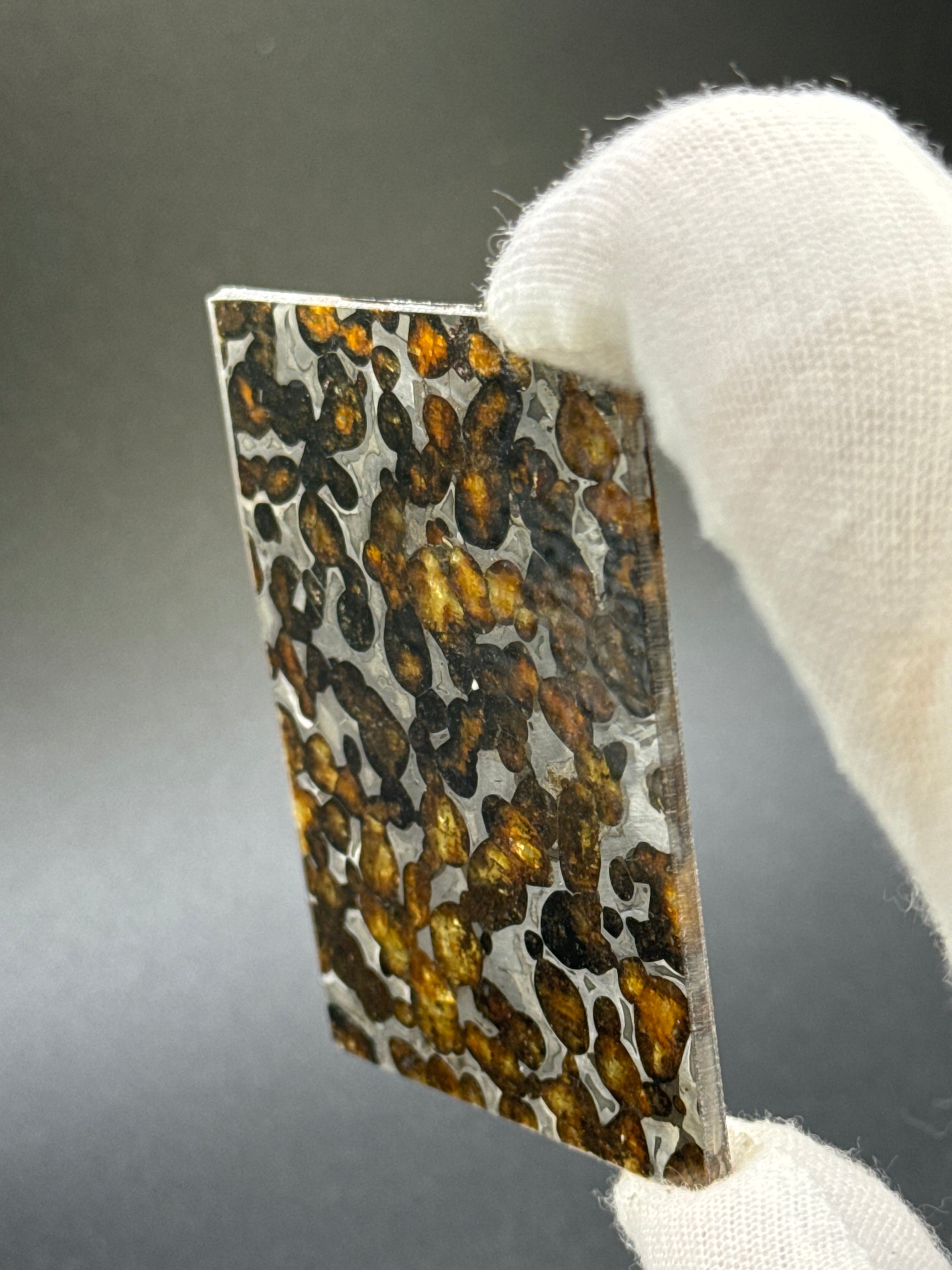 SERICHO METEORITE, KENYA. 26,10 GRAMS.