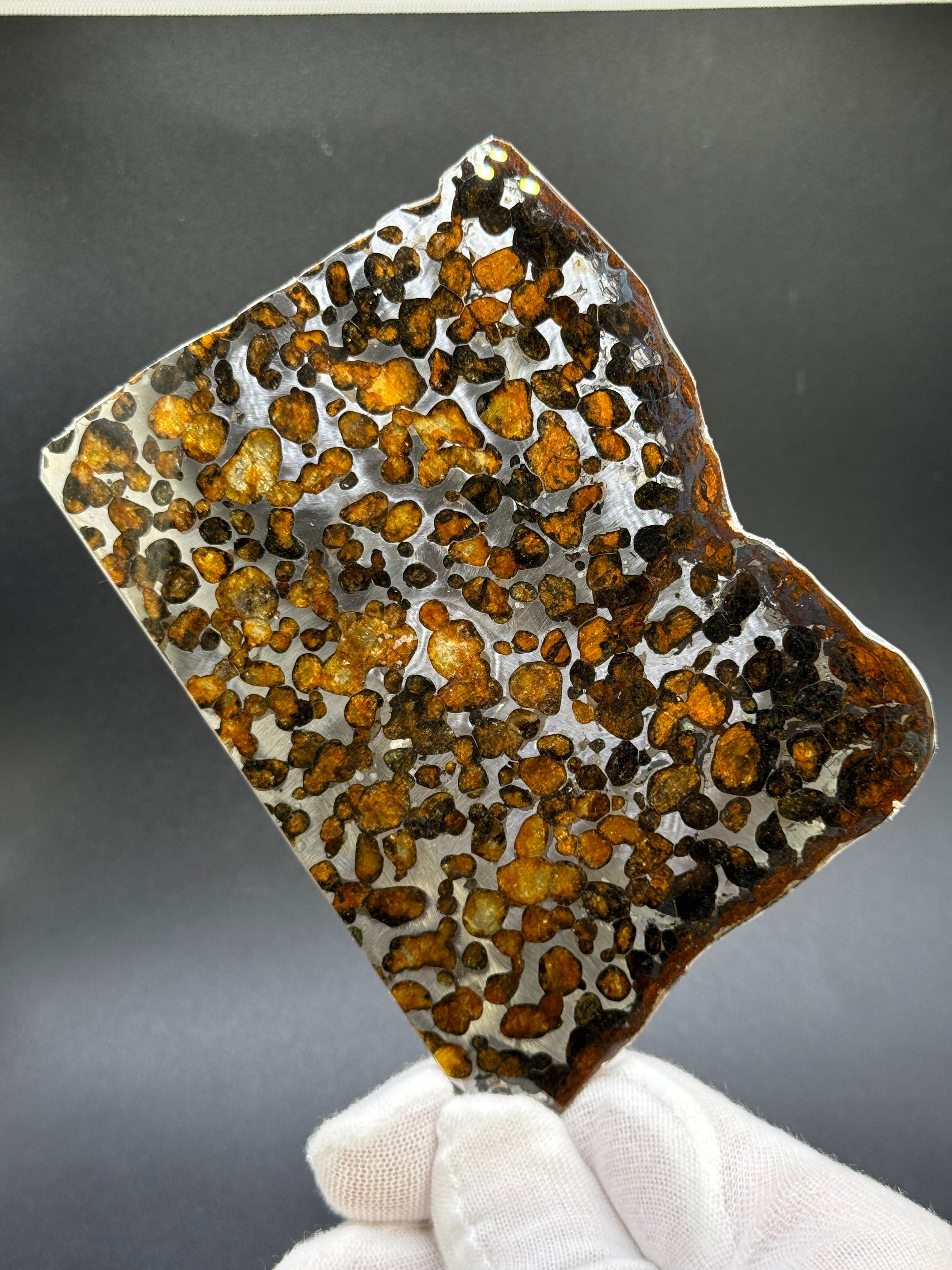 SERICHO METEORITE, KENYA. 62,07 GRAMS SLICE