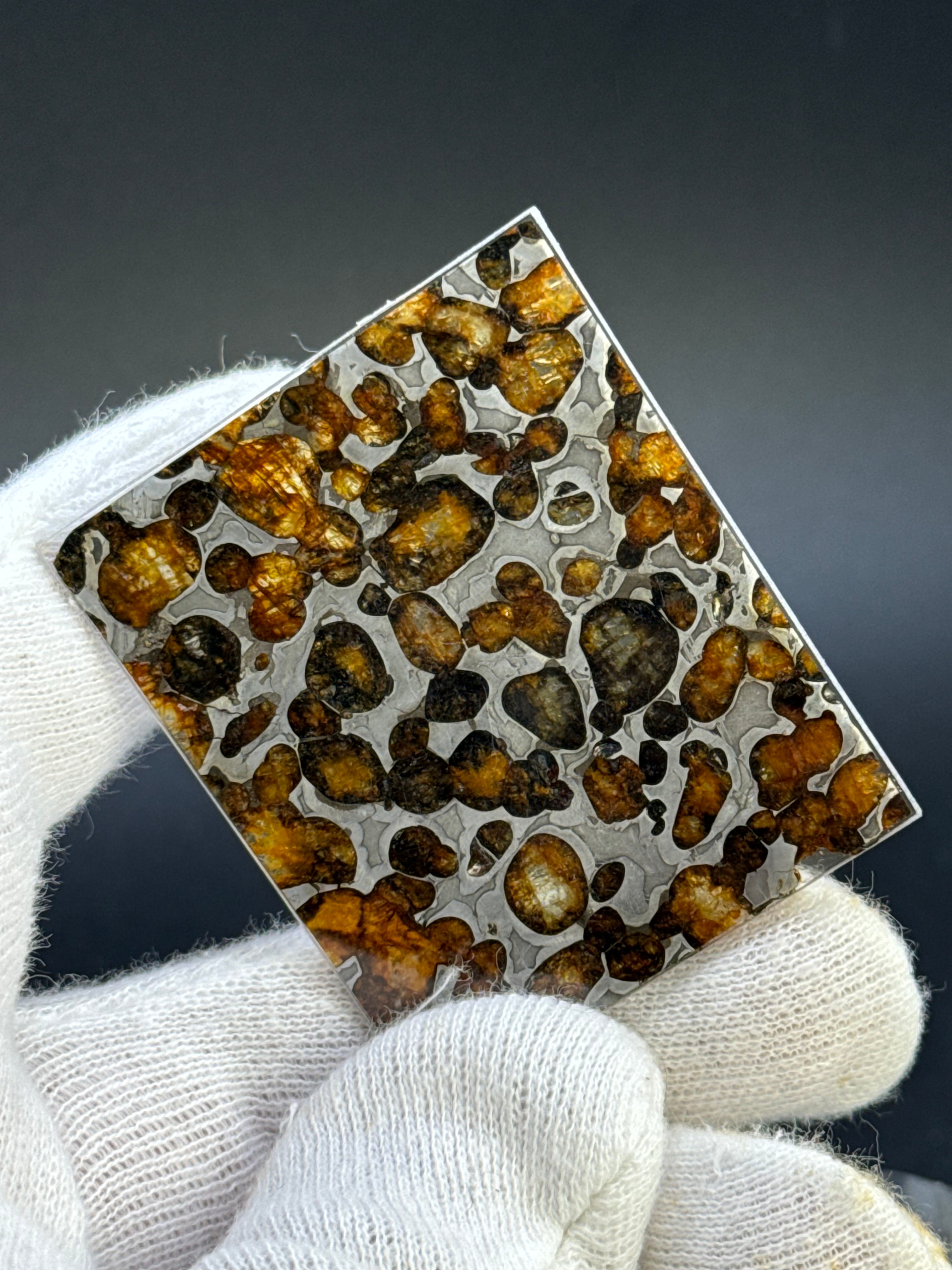 SERICHO METEORITE, KENYA. 13,5 GRAMS.