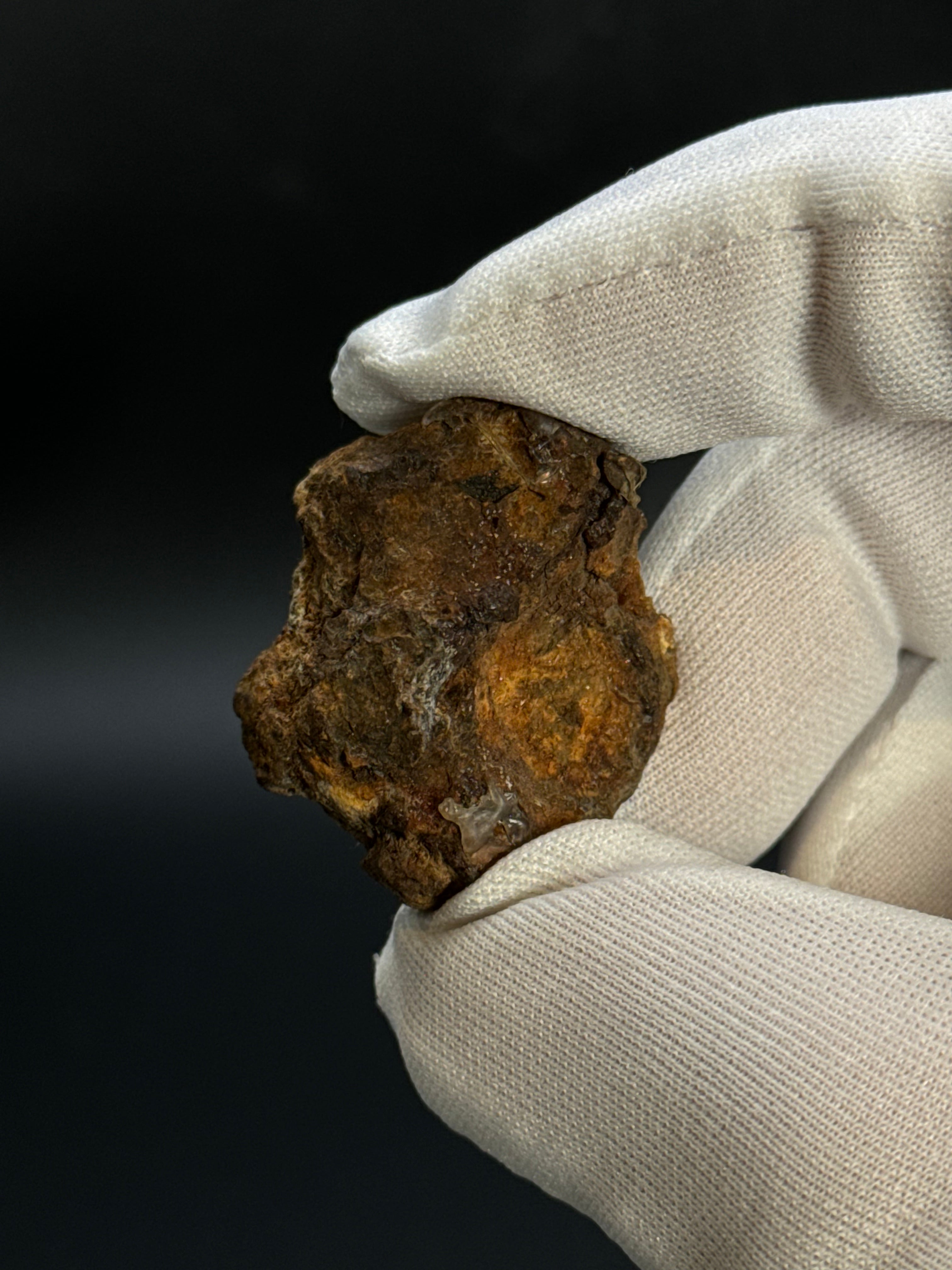 SERICHO PALLASITE METEORITE, KENYA. 17,83 GRAMS END-CUT