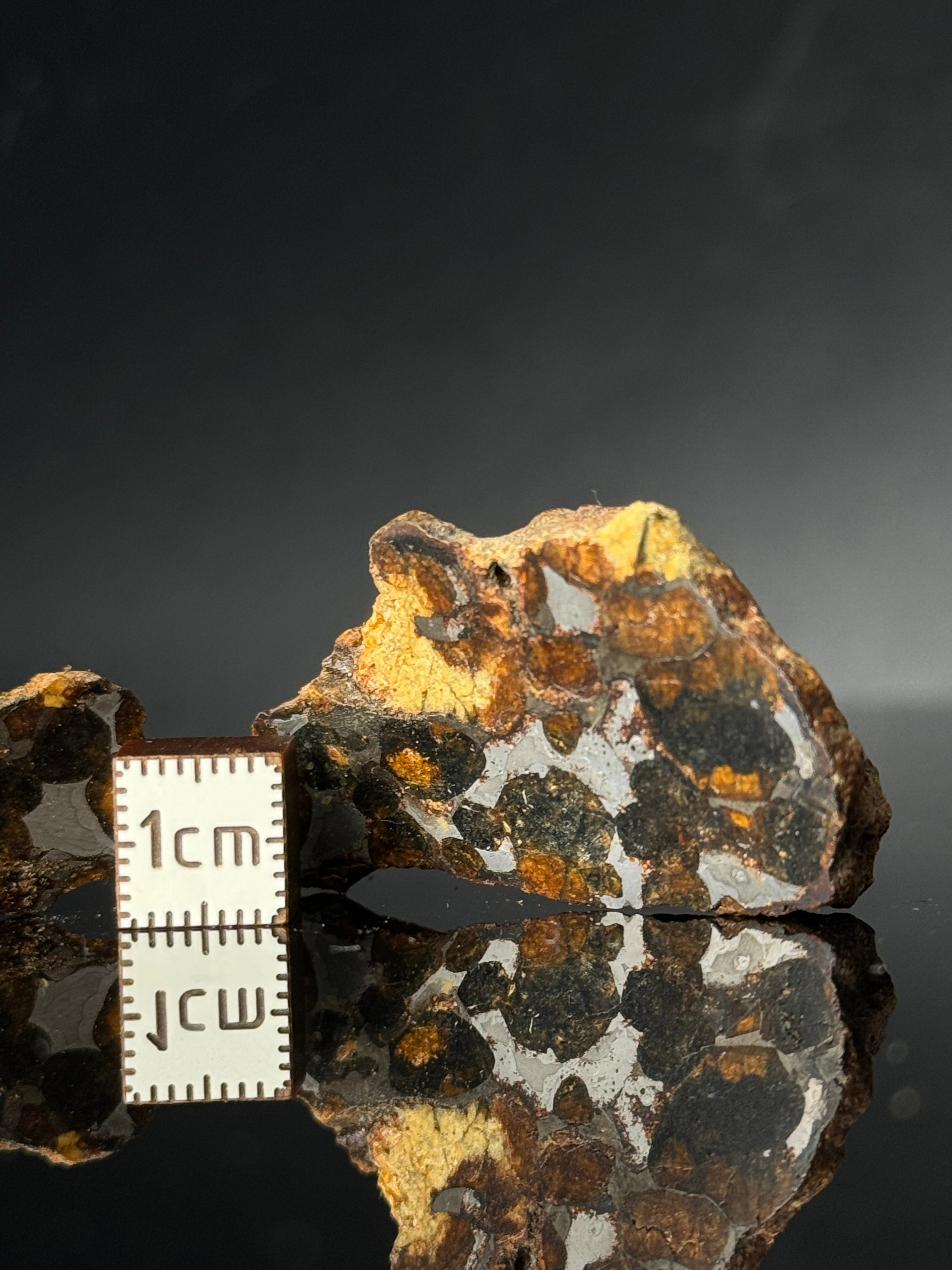 FULL SERICHO METEORITE FROM KENYA, IN TWO HALVES. TOTAL WEIGHT: 51,5 GRAMS.