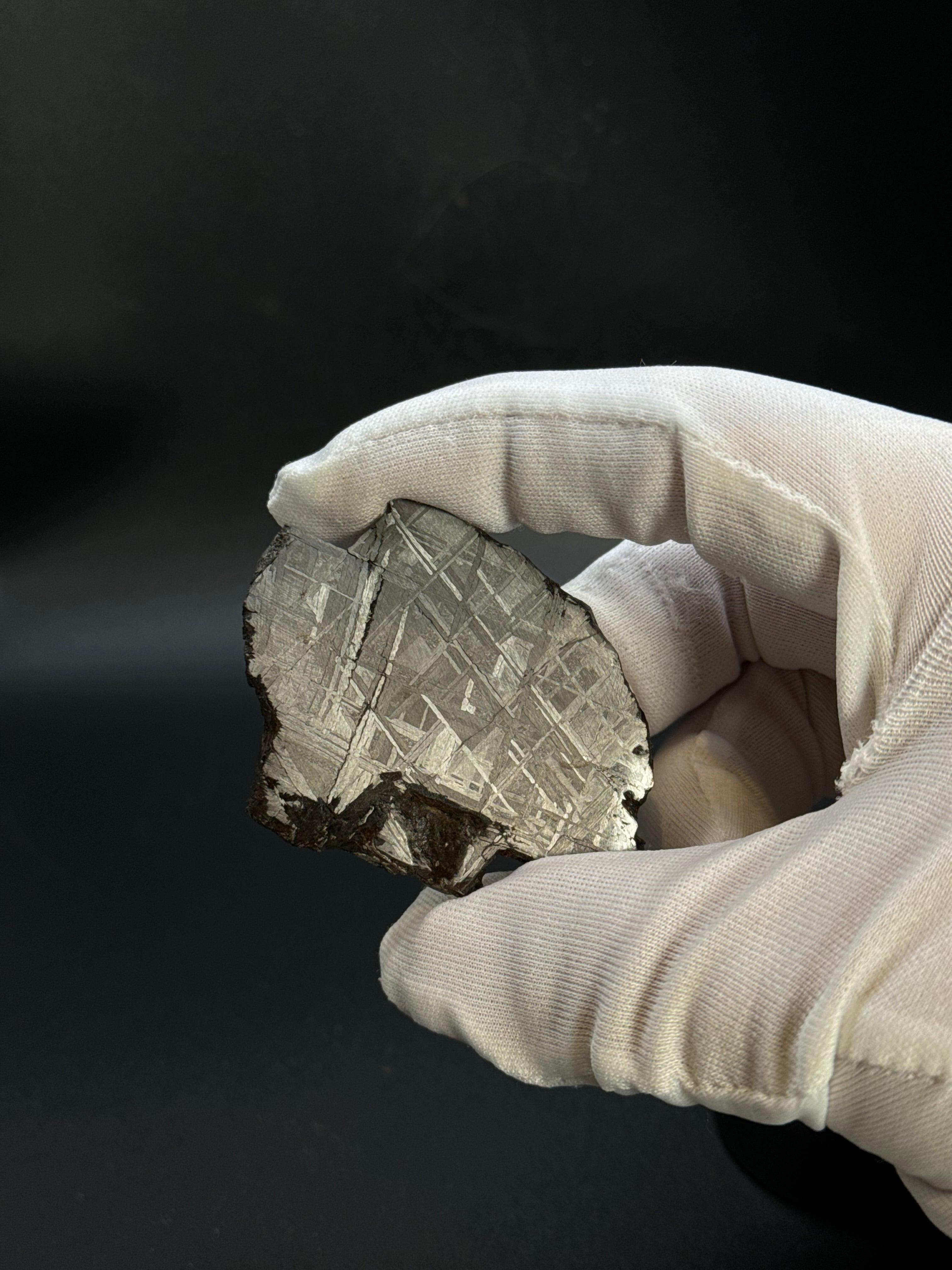 MUONIONALUSTA METEORITE, SWEDEN. 44,09 GRAMS.