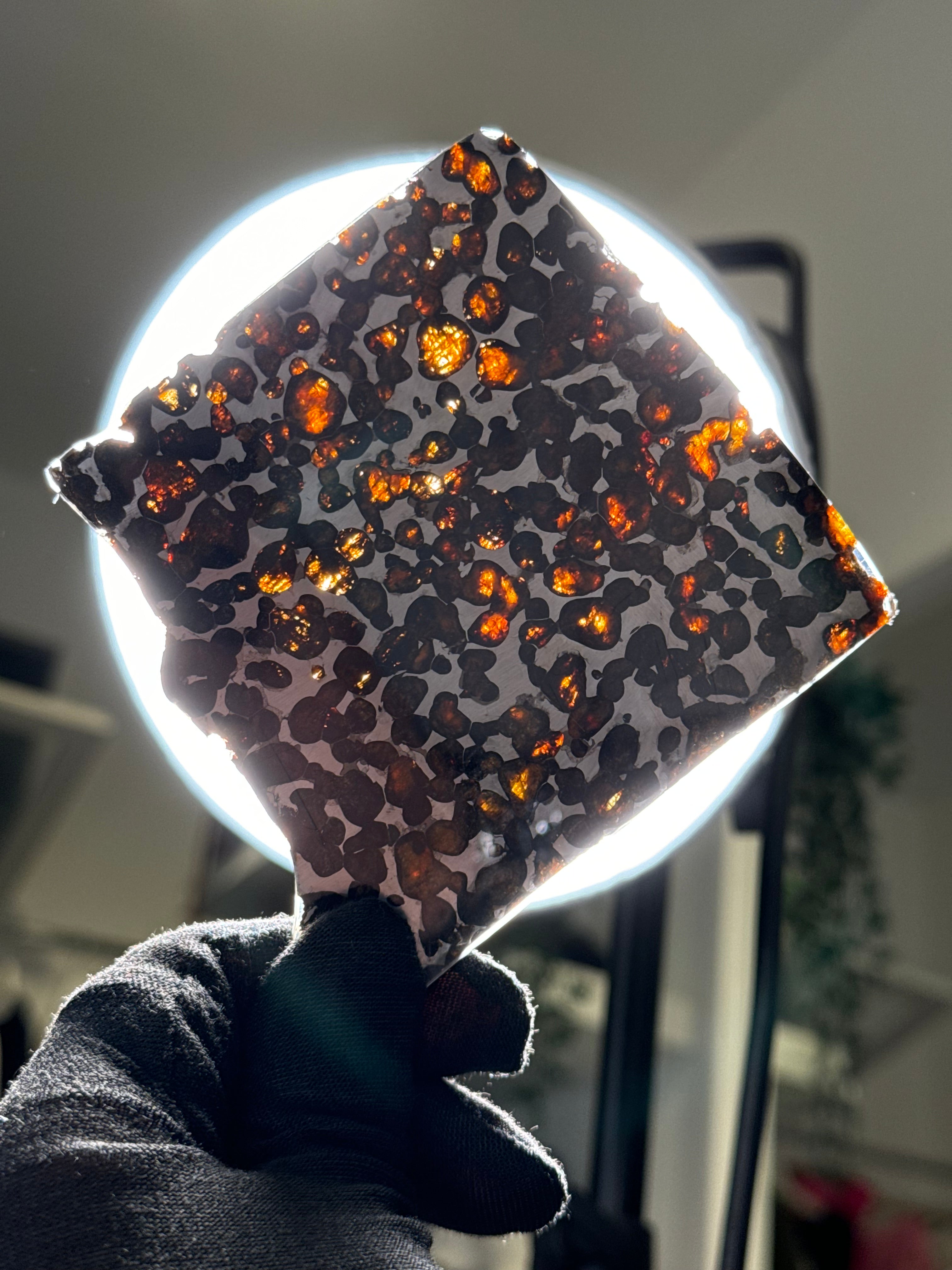 SERICHO METEORITE, KENYA. 66 GRAMS SLICE