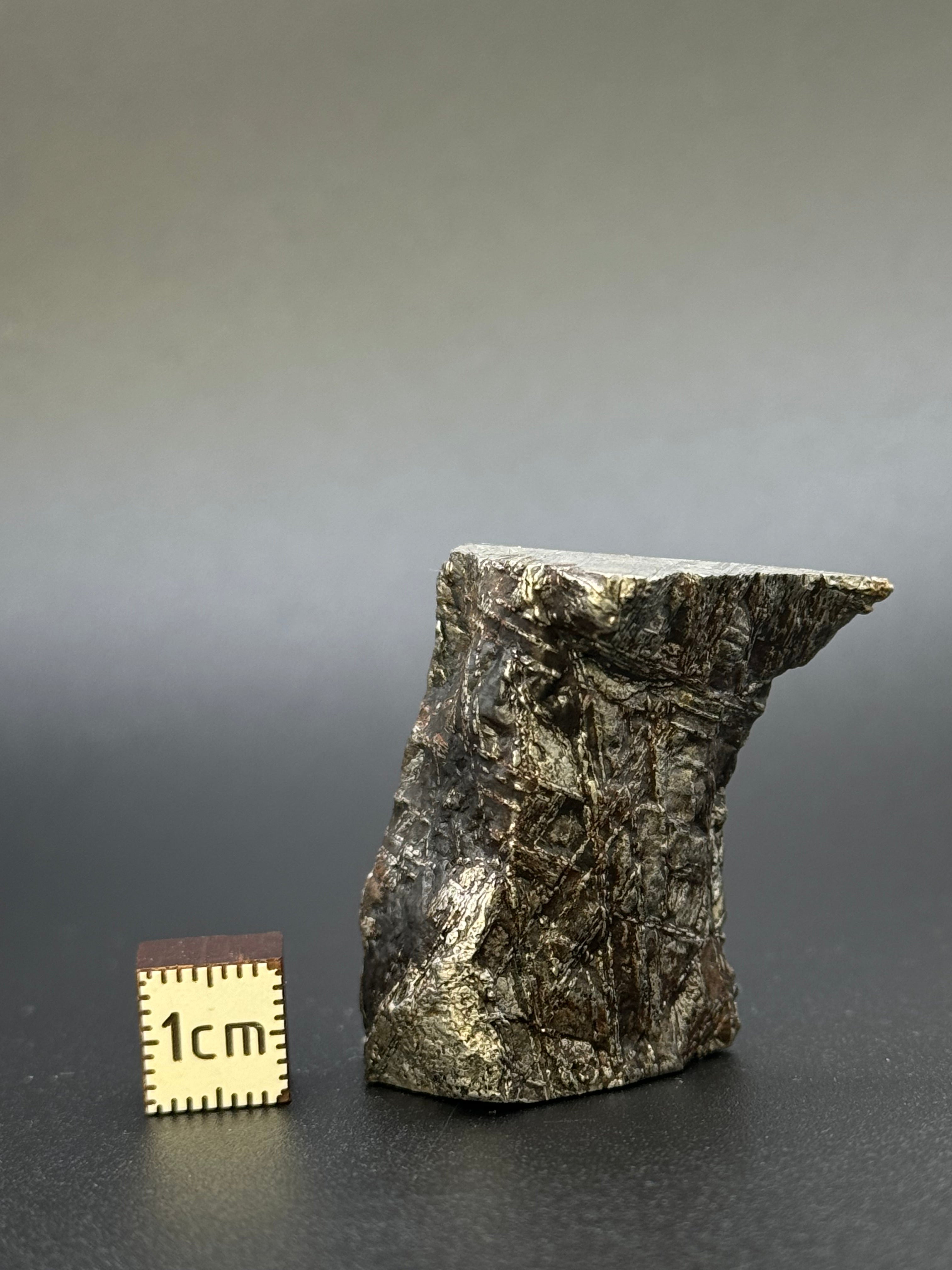 MUONIONALUSTA METEORITE, SWEDEN. 82,04 GRAMS CHUNK.