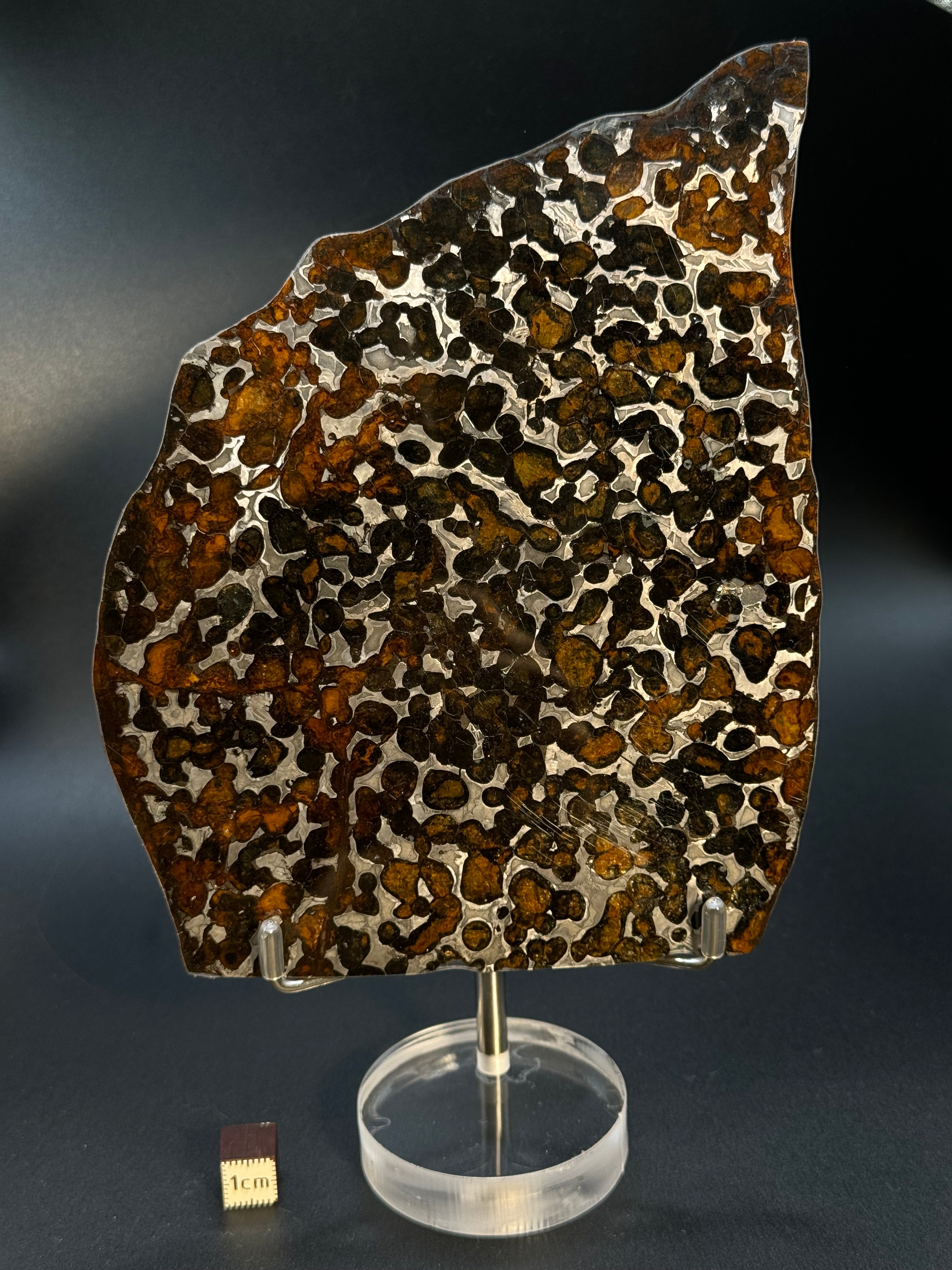 SERICHO METEORITE, KENYA. 97 GRAMS SLICE