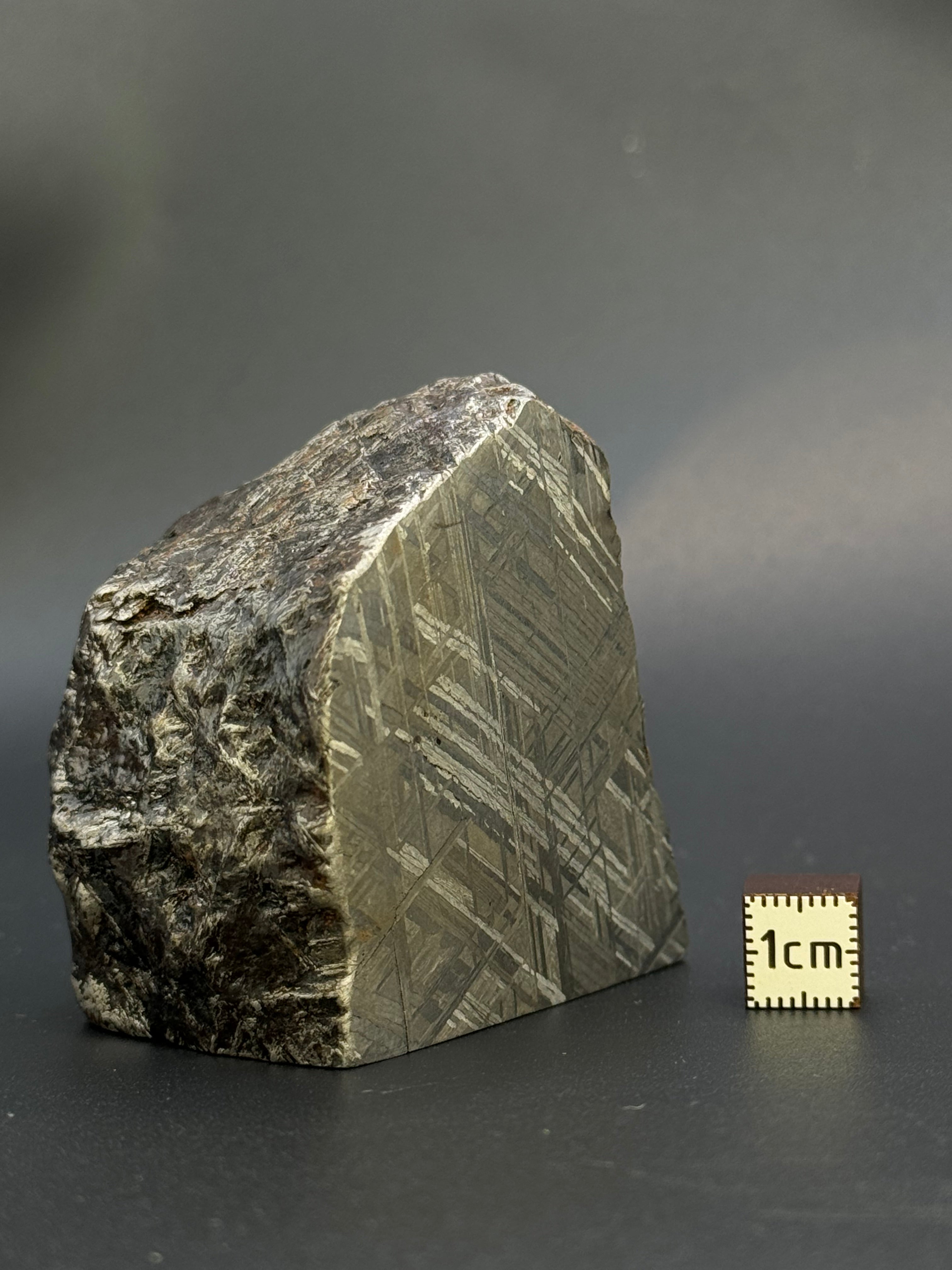 MUONIONALUSTA METEORITE, SWEDEN. 487 GRAMS END-CUT.