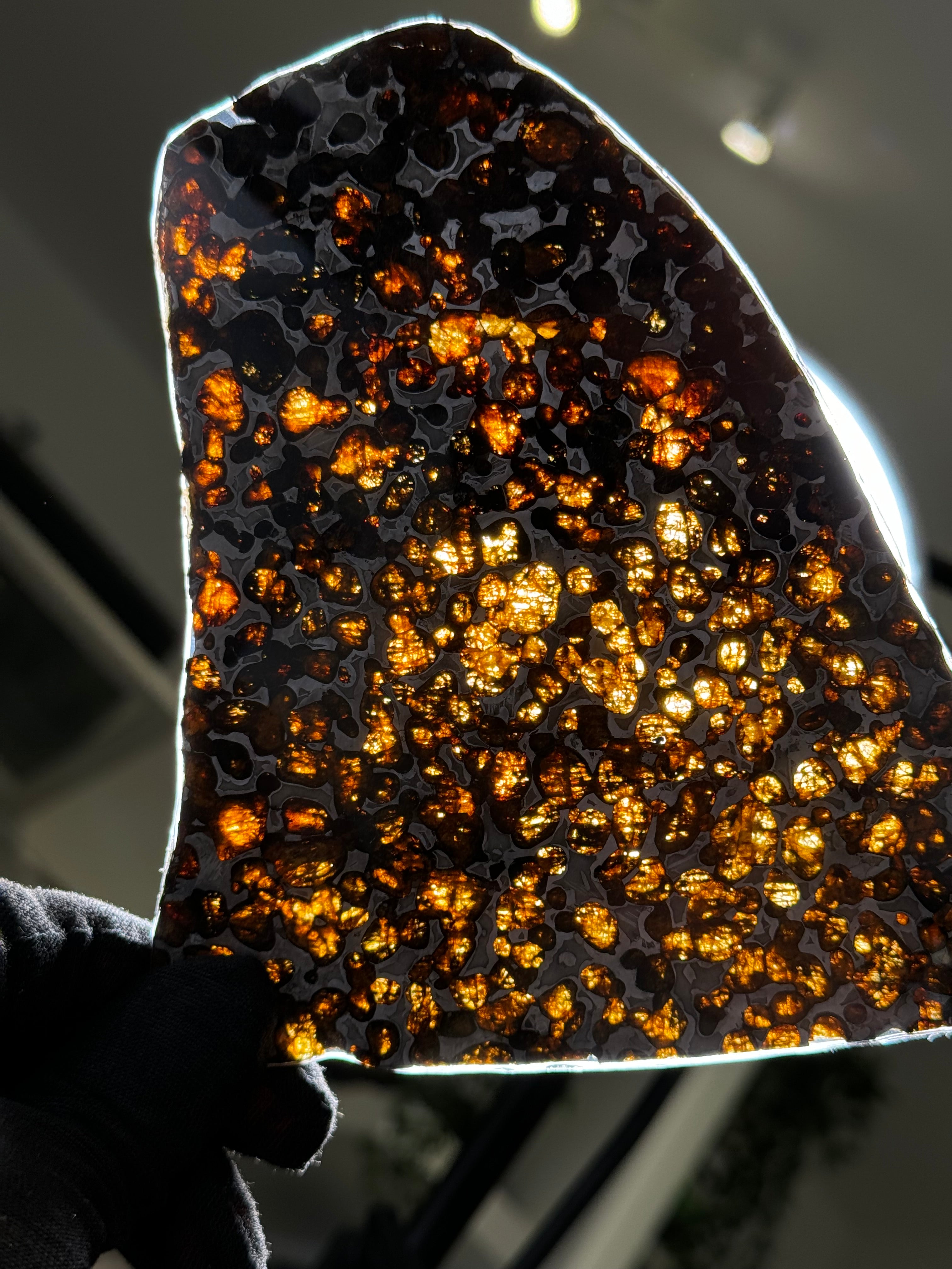 SERICHO METEORITE, KENYA. 87 GRAMS SLICE