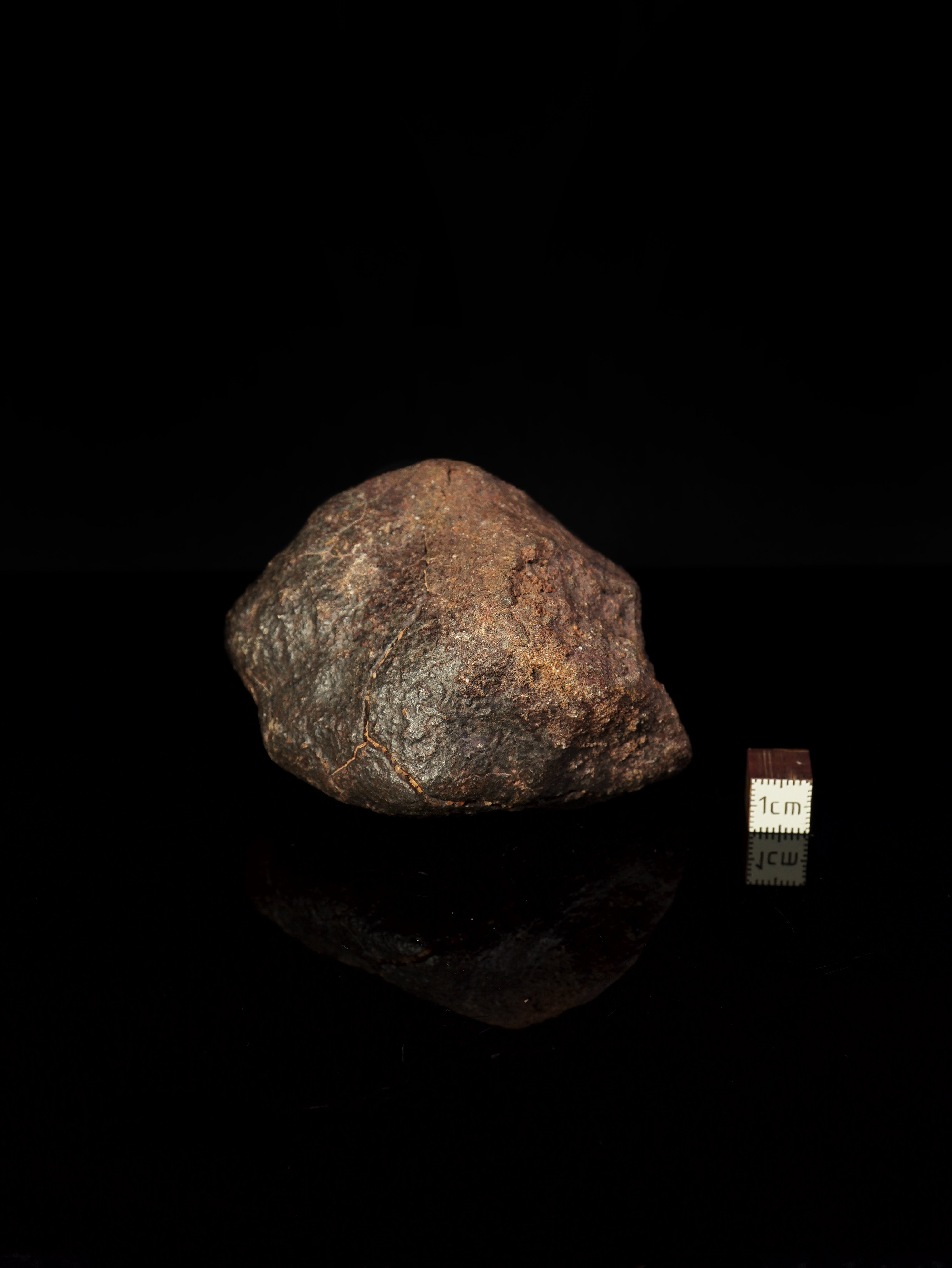 CHONDRITE METEORITE, NORTH WEST AFRICA. 352 GRAMS.