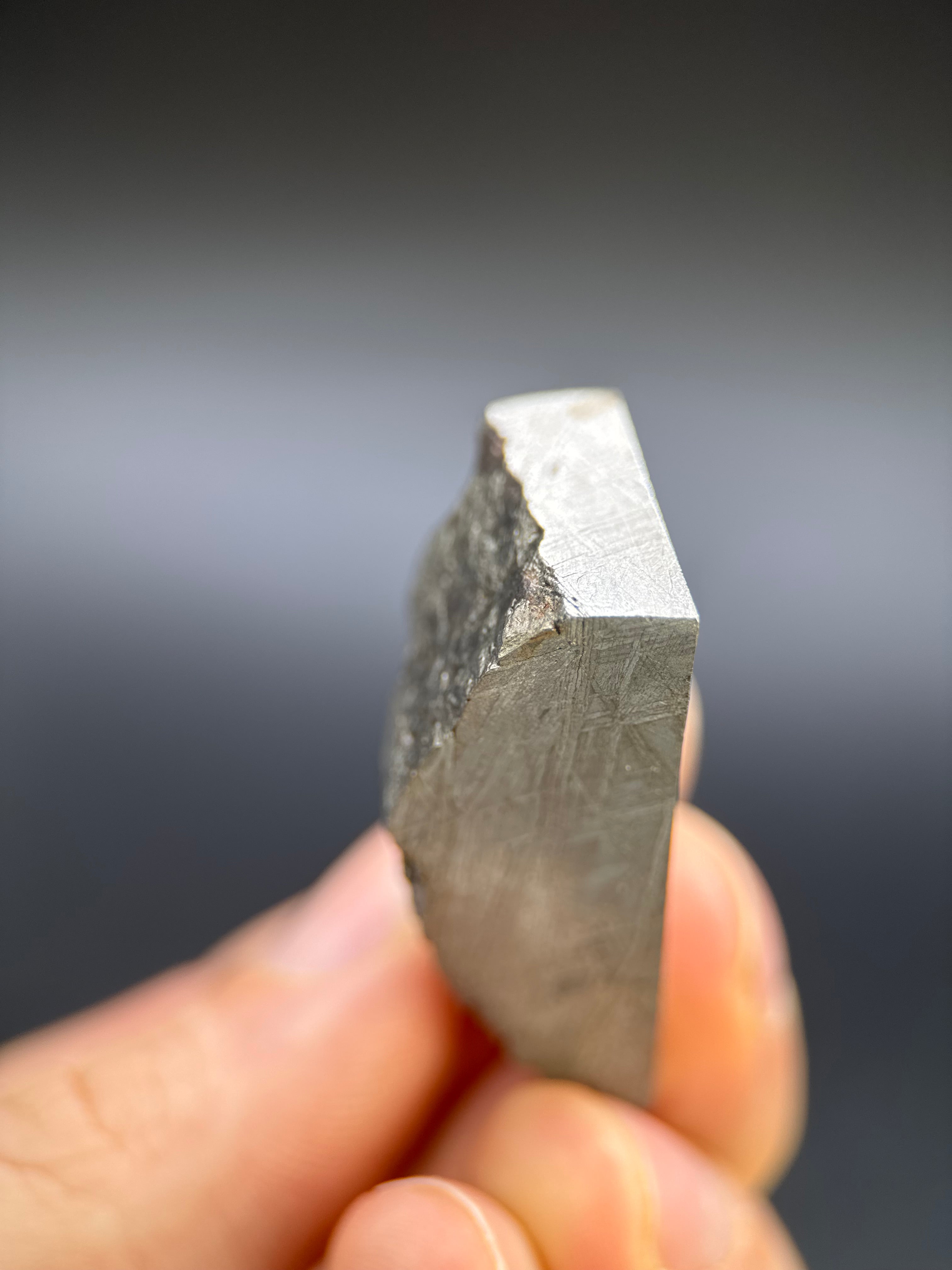 MUONIONALUSTA METEORITE, SWEDEN. 78,68 GRAMS END-CUT