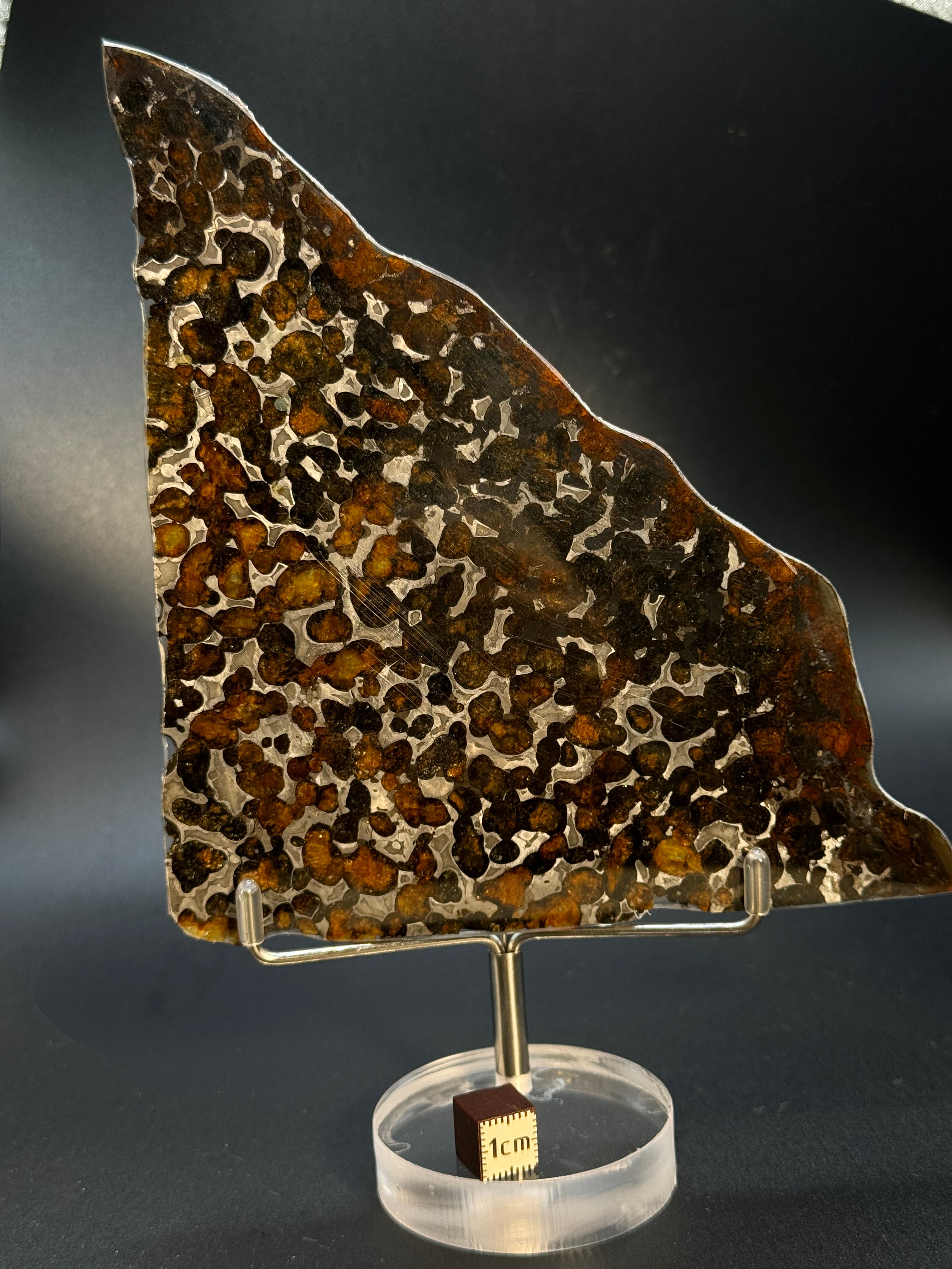 SERICHO METEORITE, KENYA. 73 GRAMS SLICE