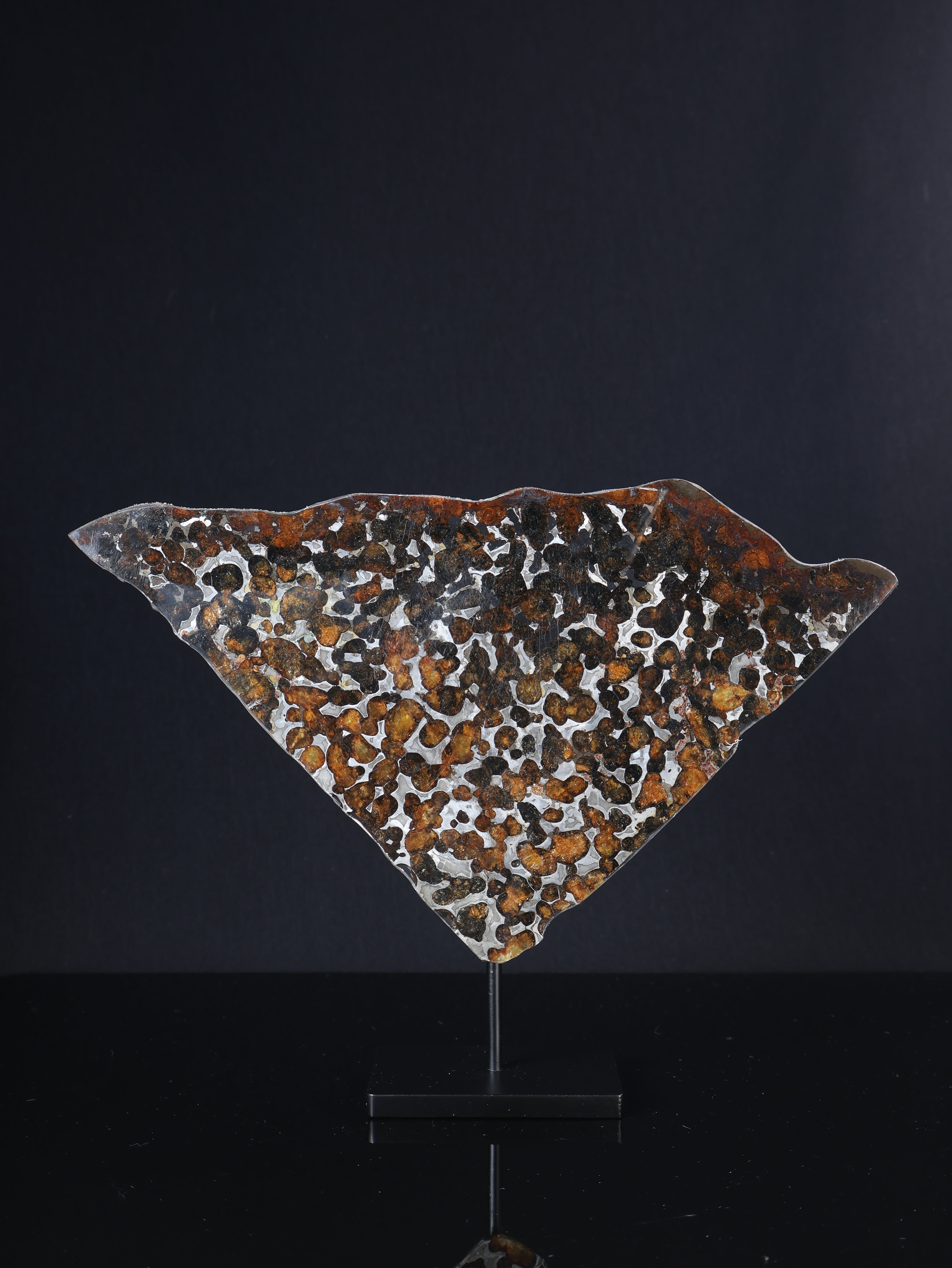 SERICHO METEORITE, KENYA. 74,56 GRAMS SLICE