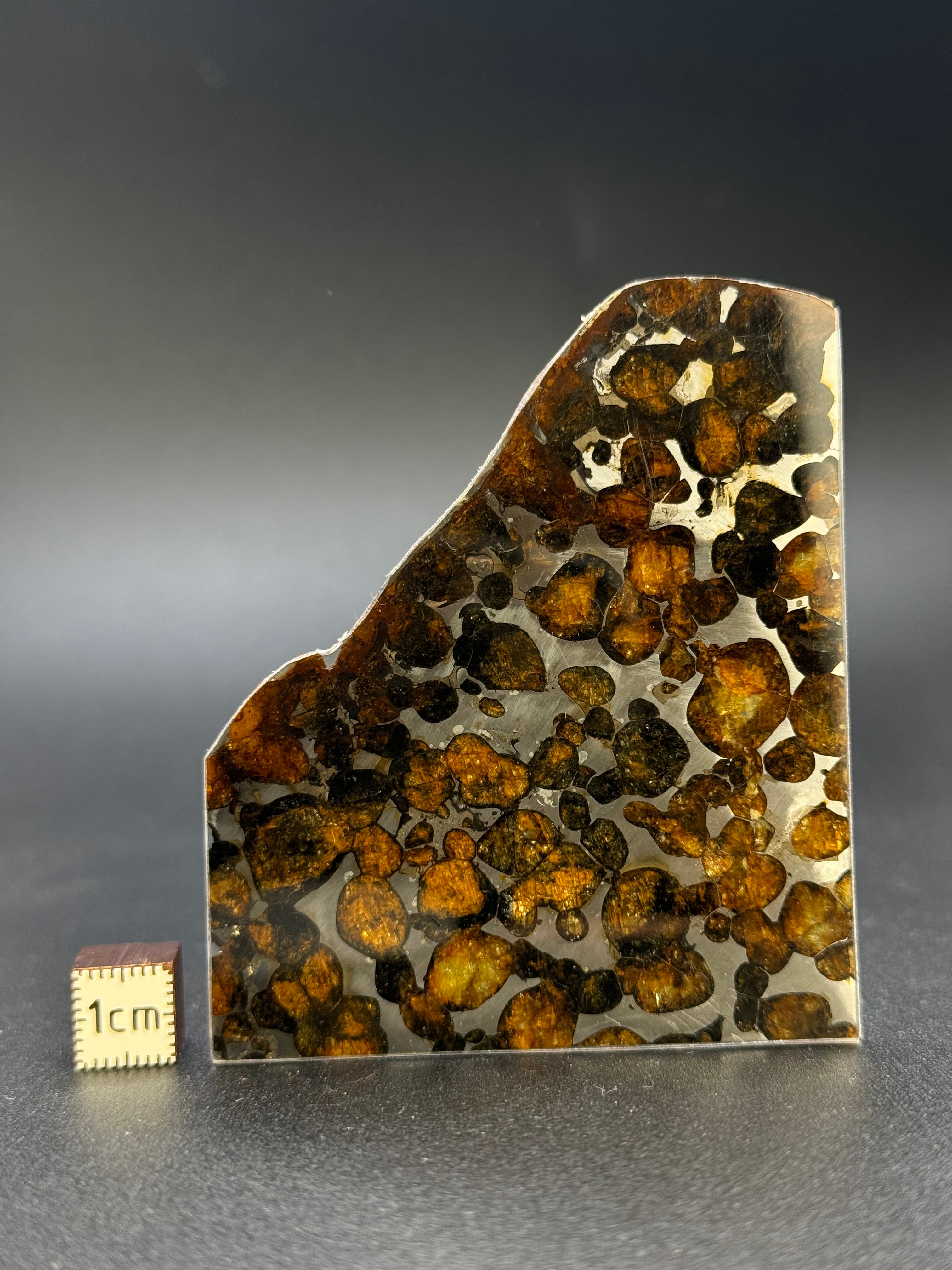 SERICHO METEORITE, KENYA. 23 GRAMS.