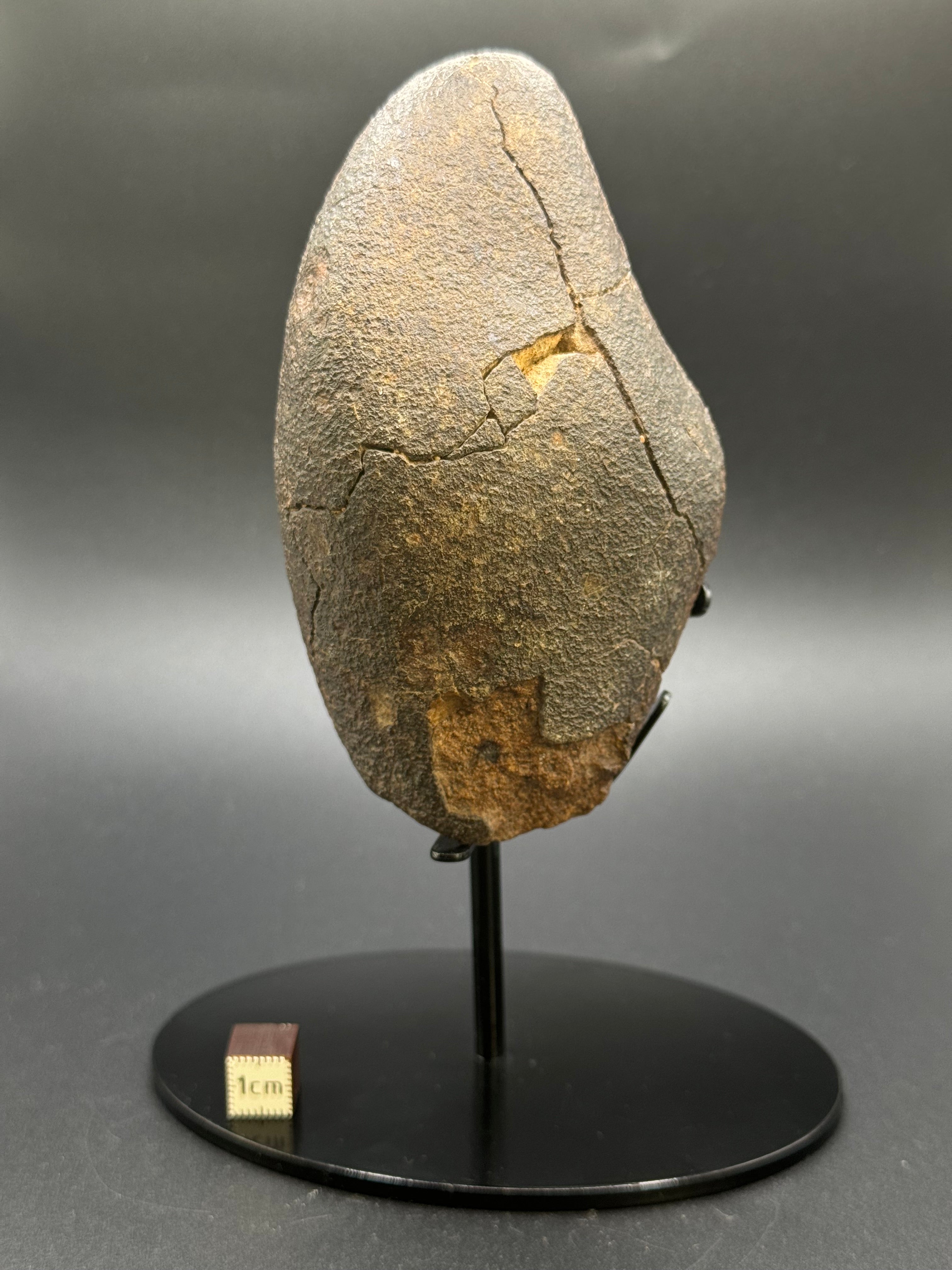 CHONDRITE METEORITE, NORTH WEST AFRICA. 421 GRAMS.