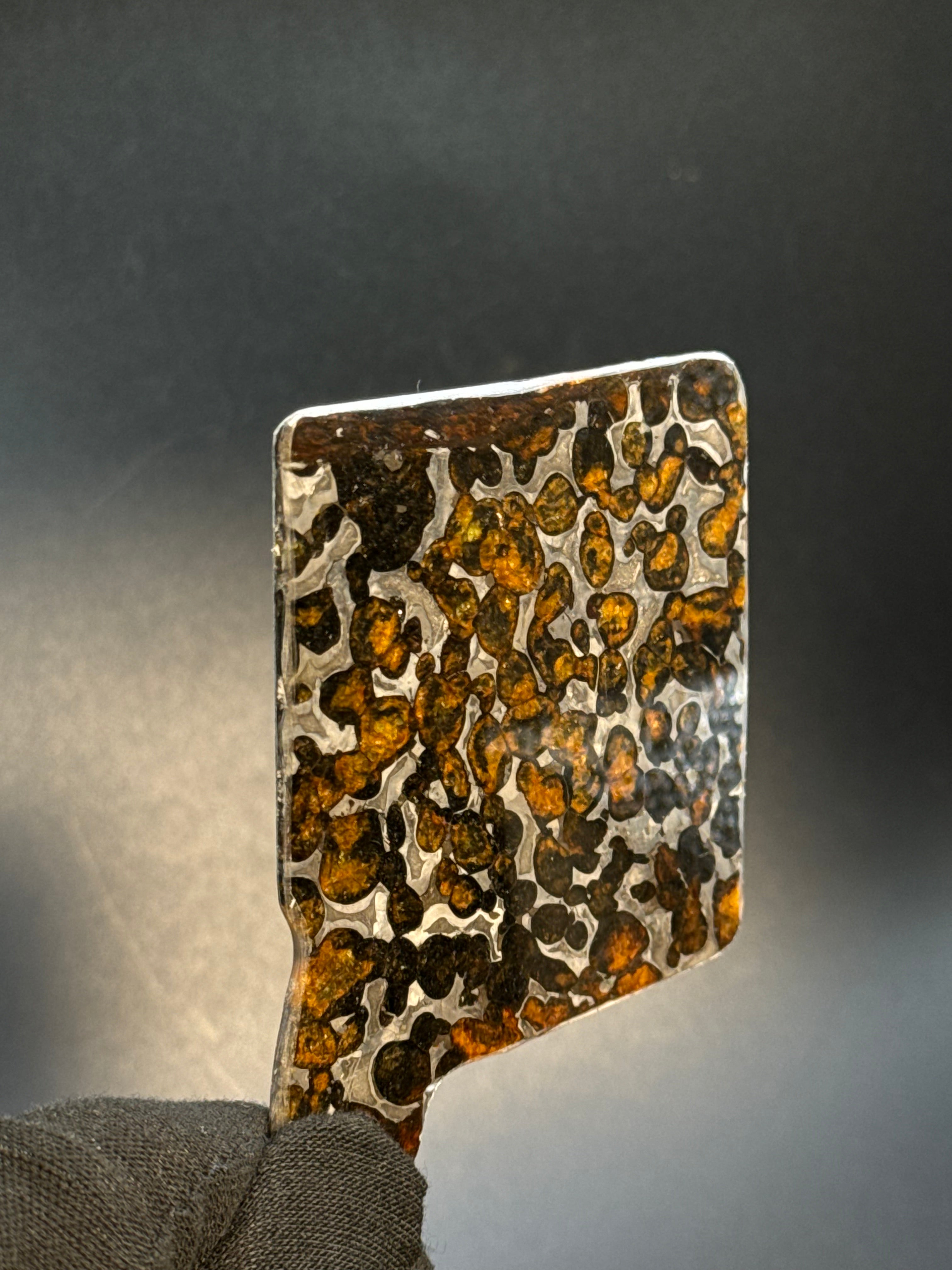 SERICHO METEORITE, KENYA. 30 GRAMS SLICE