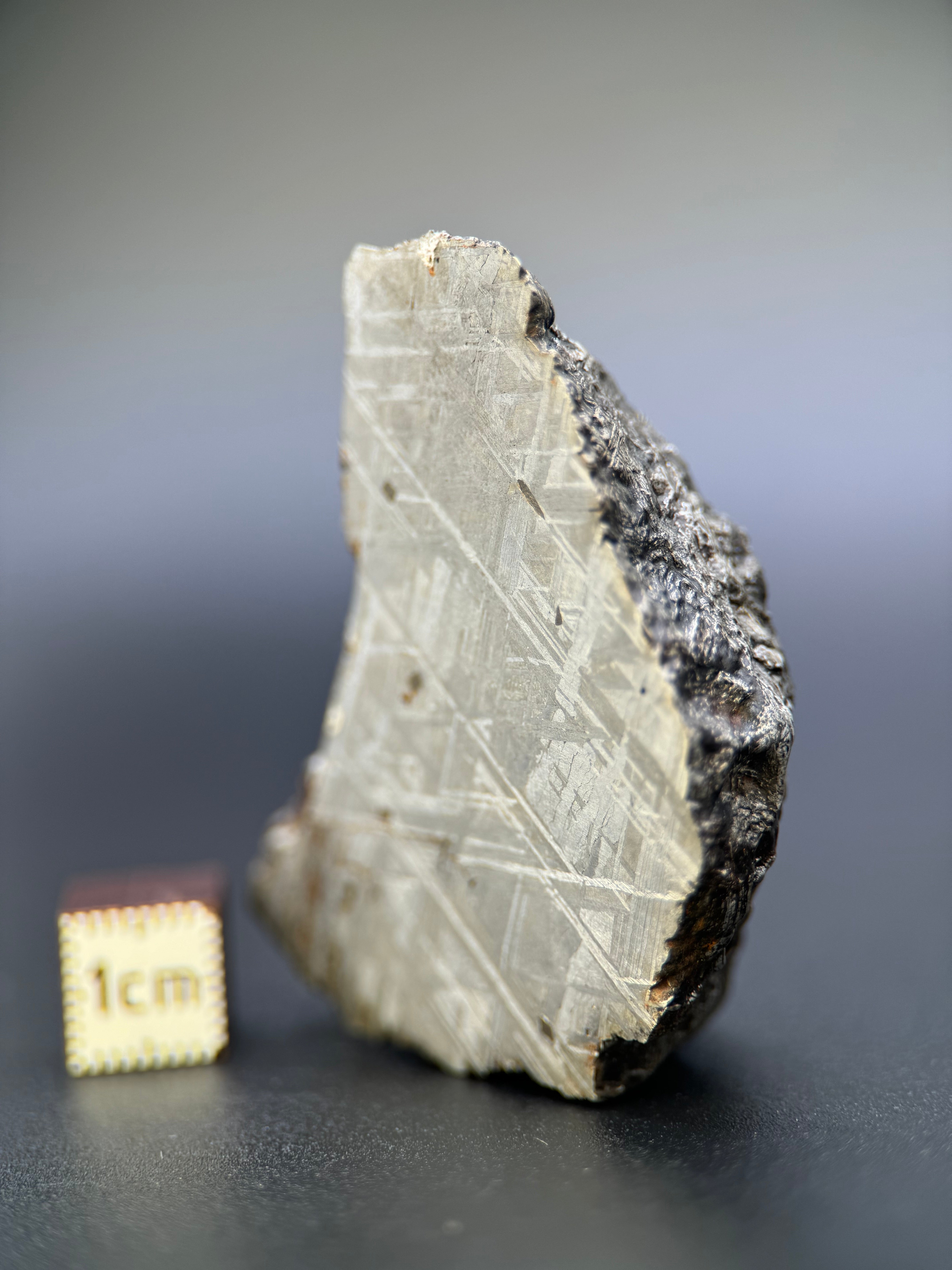 MUONIONALUSTA METEORITE, SWEDEN. 128 GRAMS END-CUT.