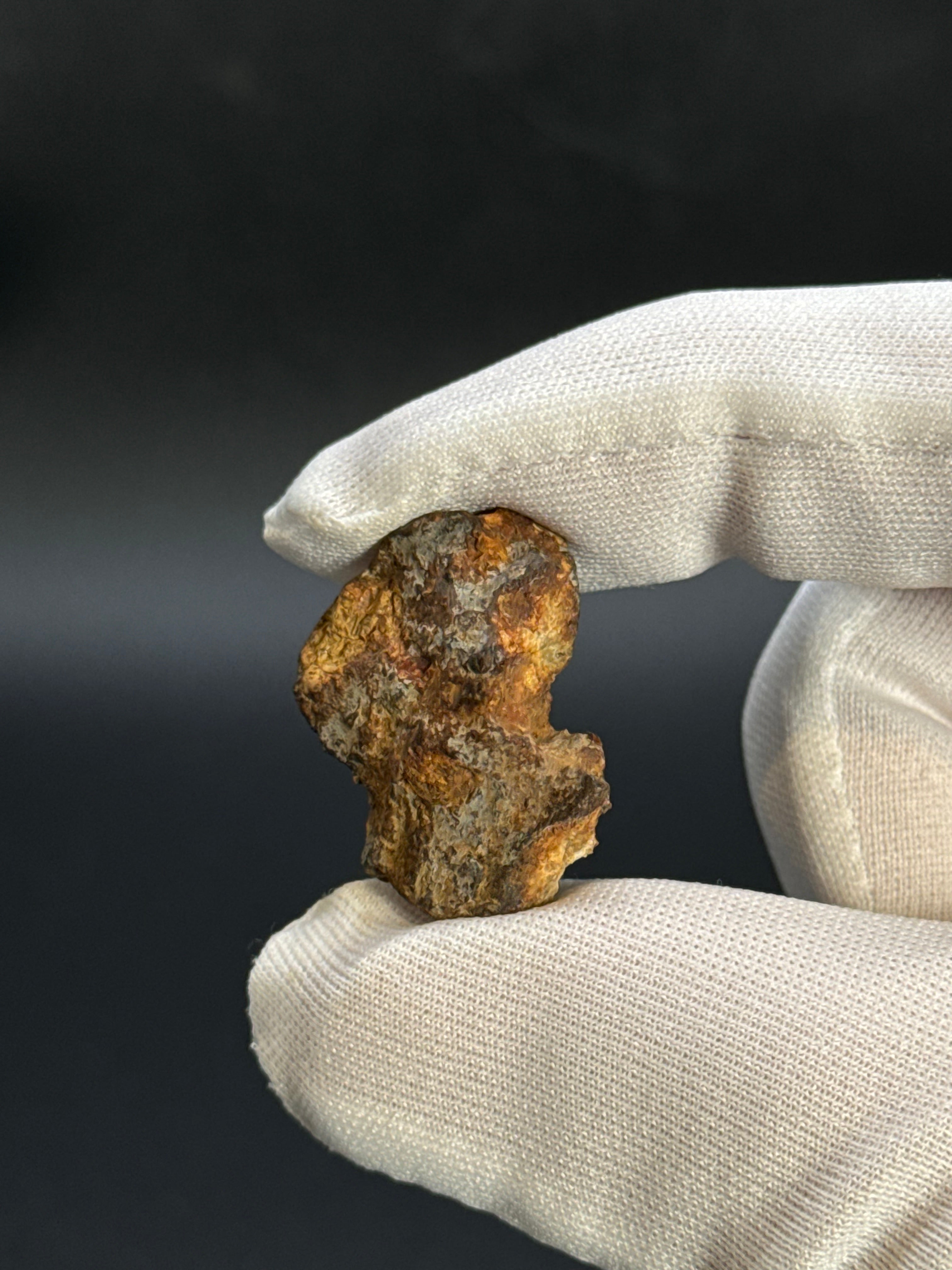 SERICHO PALLASITE METEORITE, KENYA. 7,7 GRAMS END-CUT