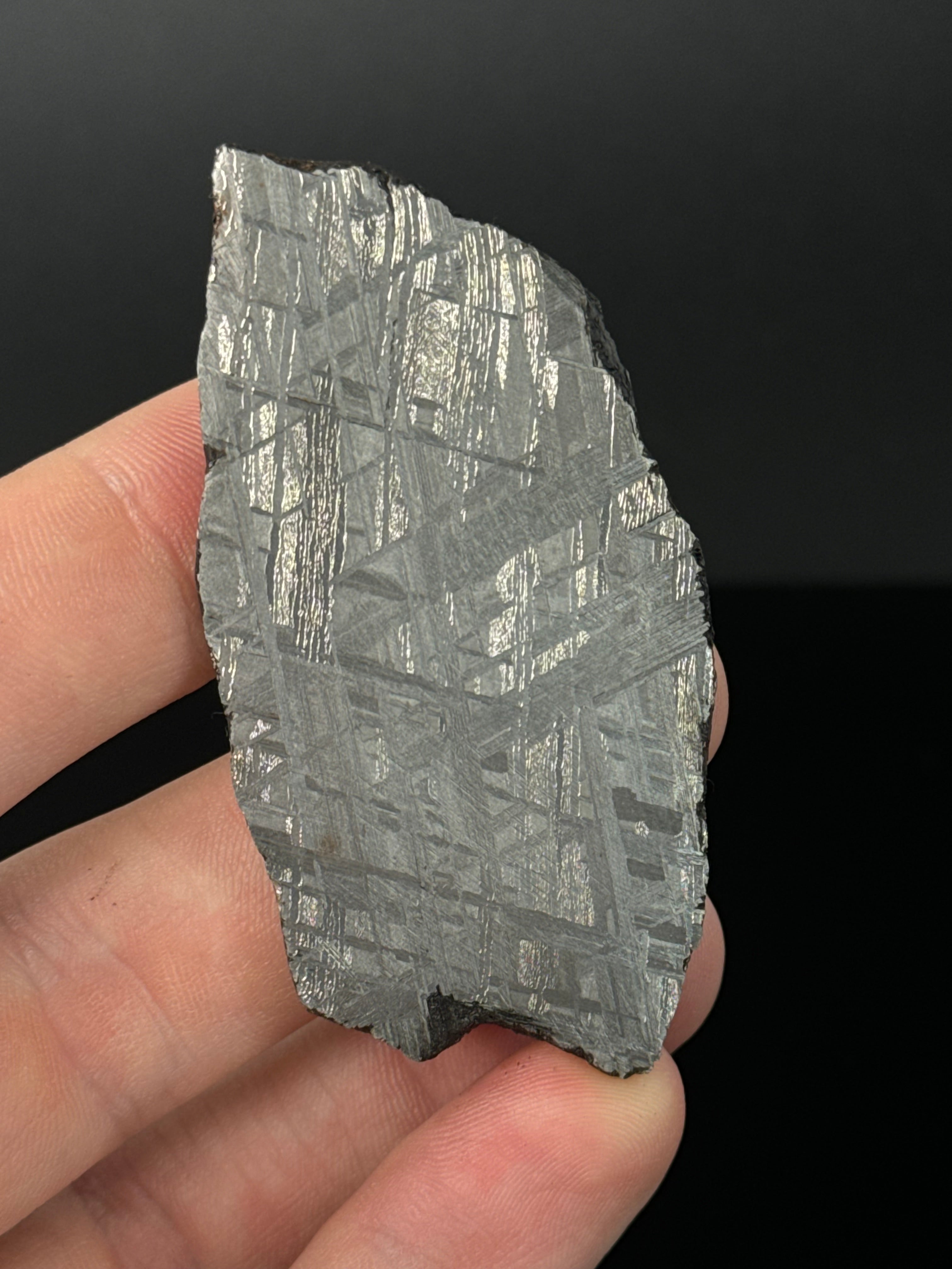 MUONIONALUSTA METEORITE, SWEDEN 49,32 GRAMS.