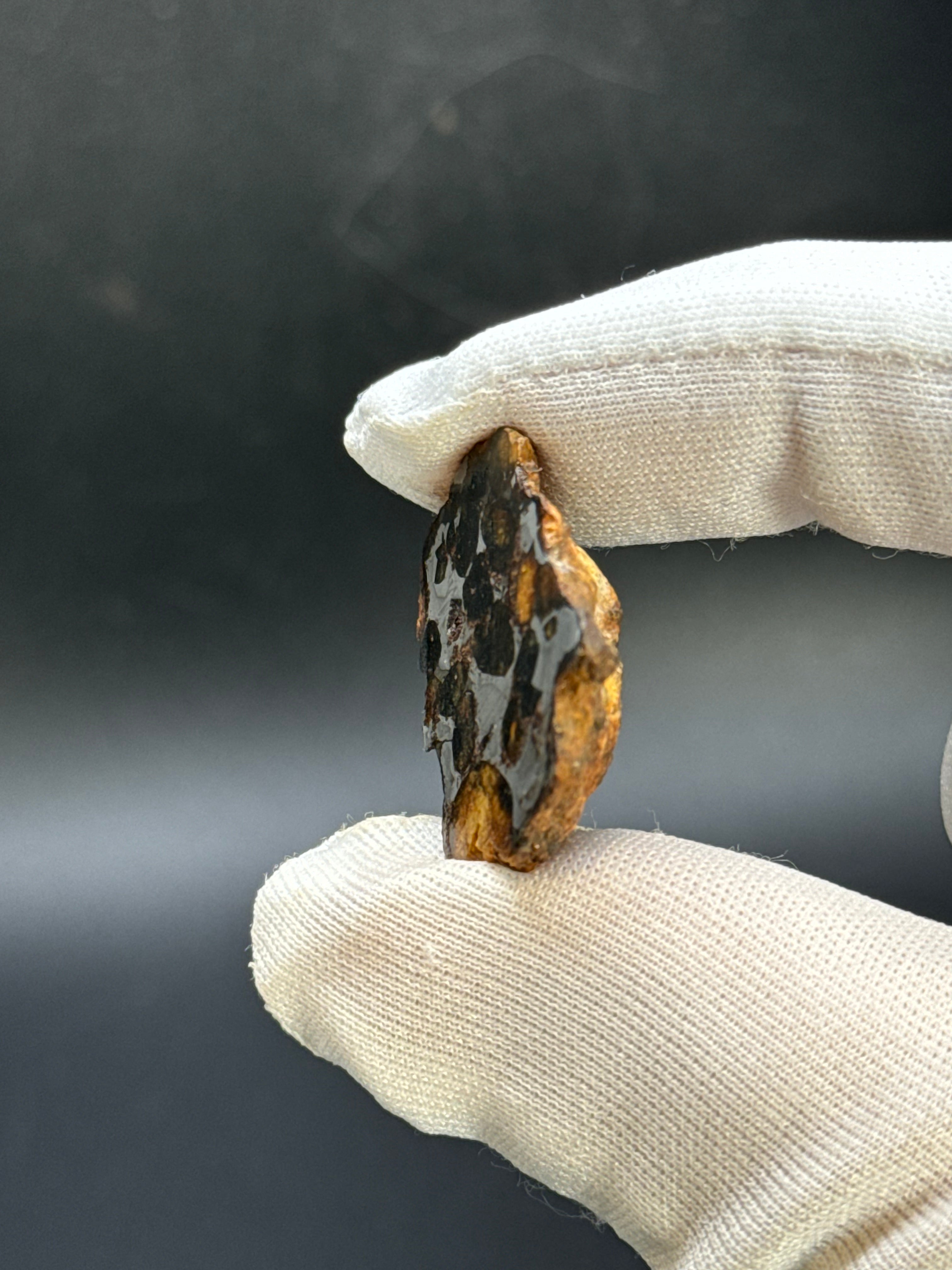 SERICHO PALLASITE METEORITE, KENYA. 9 GRAMS END-CUT.