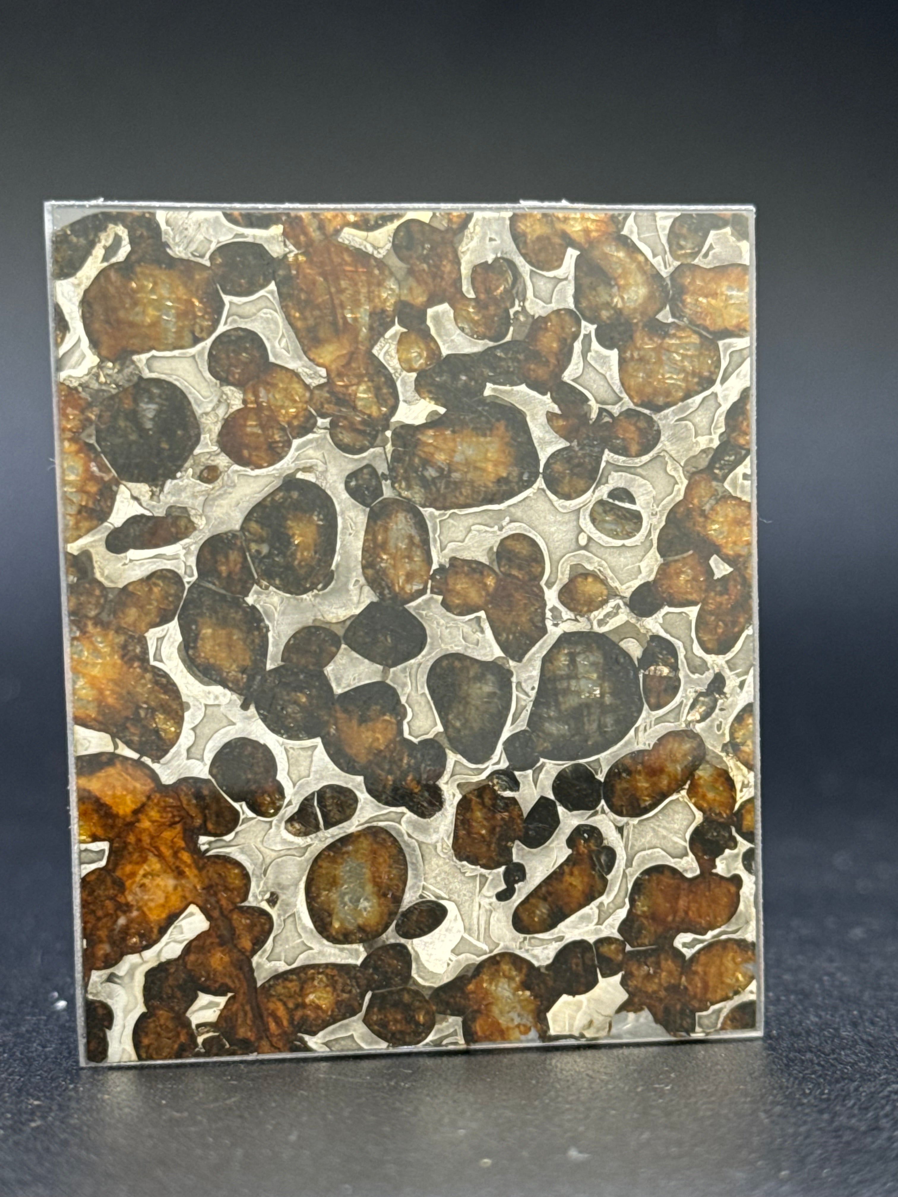 SERICHO METEORITE, KENYA. 13,5 GRAMS.
