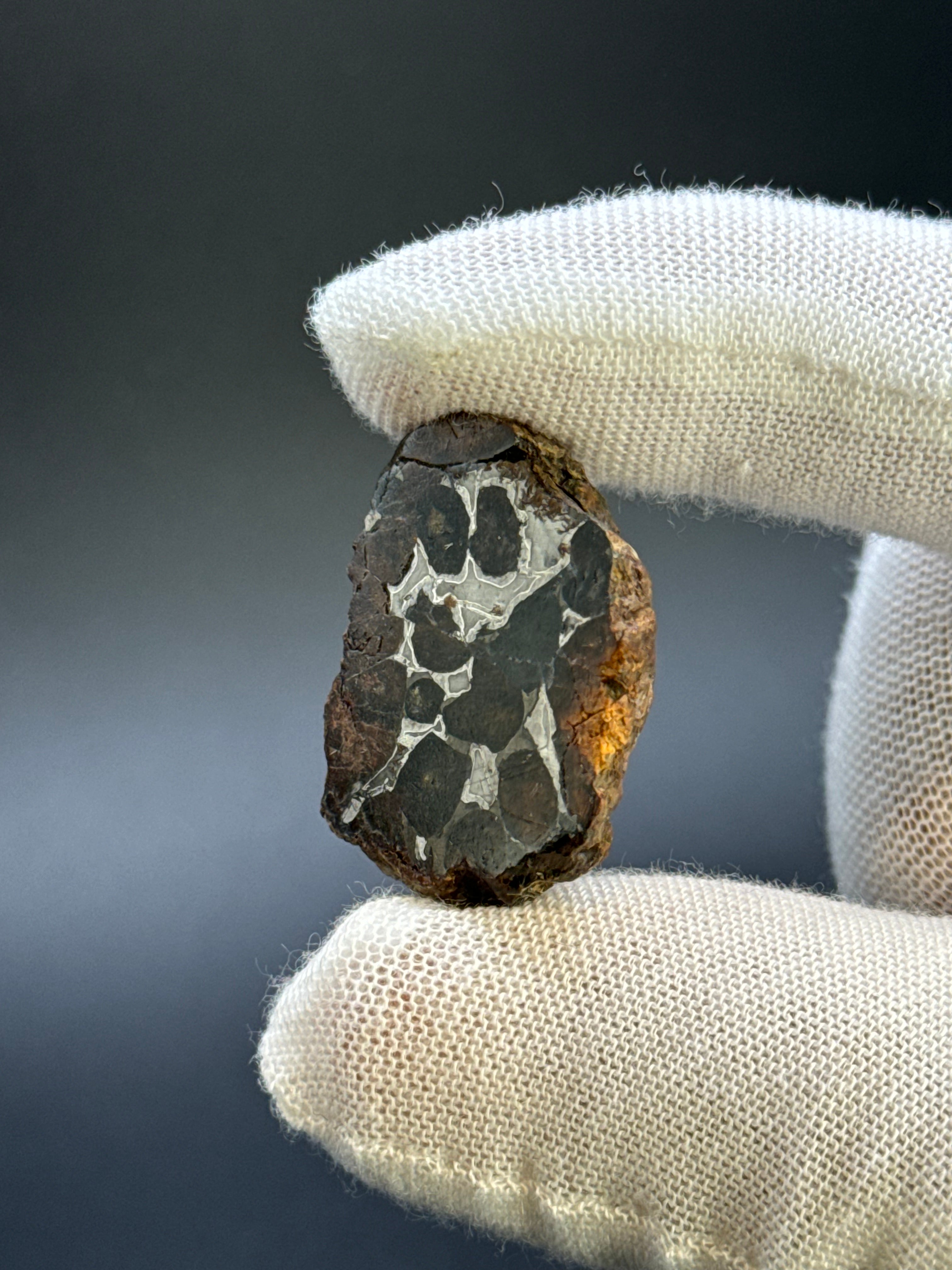 SERICHO PALLASITE METEORITE, KENYA. 14,76 GRAMS END-CUT