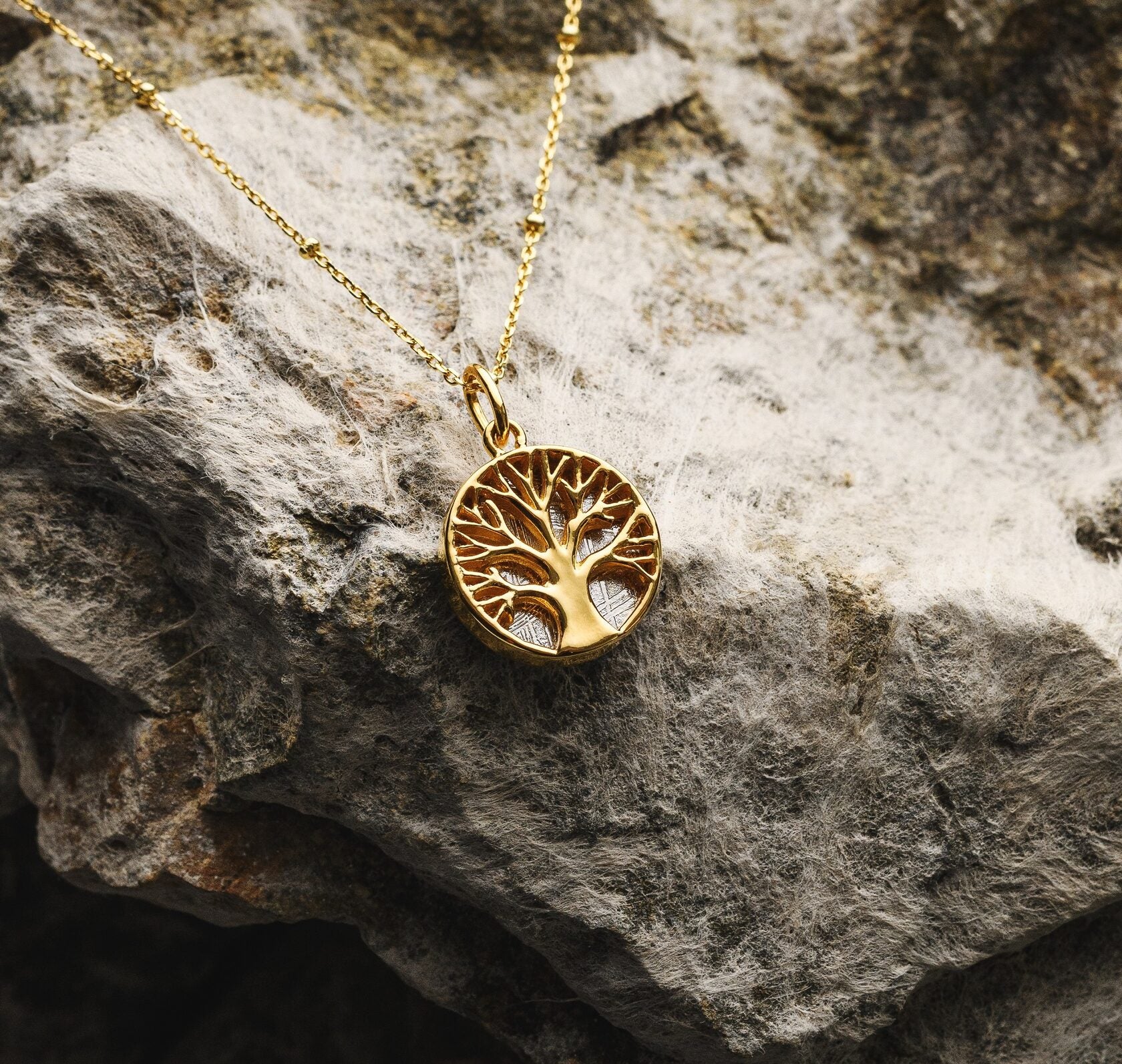 Muonionalusta meteorite pendant, Tree of life, 18k gold plated.