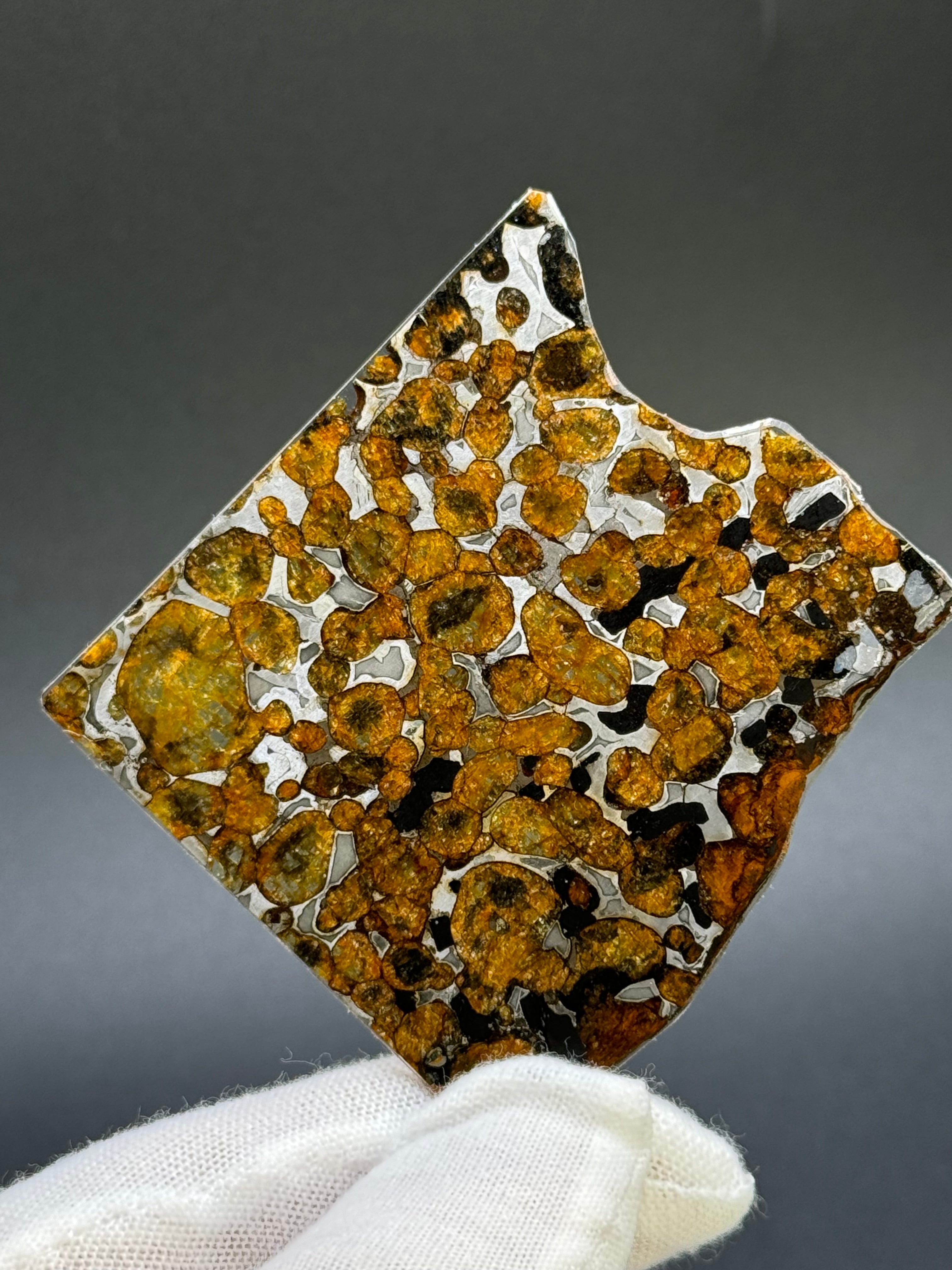 SERICHO METEORITE, KENYA. 19 GRAMS SLICE
