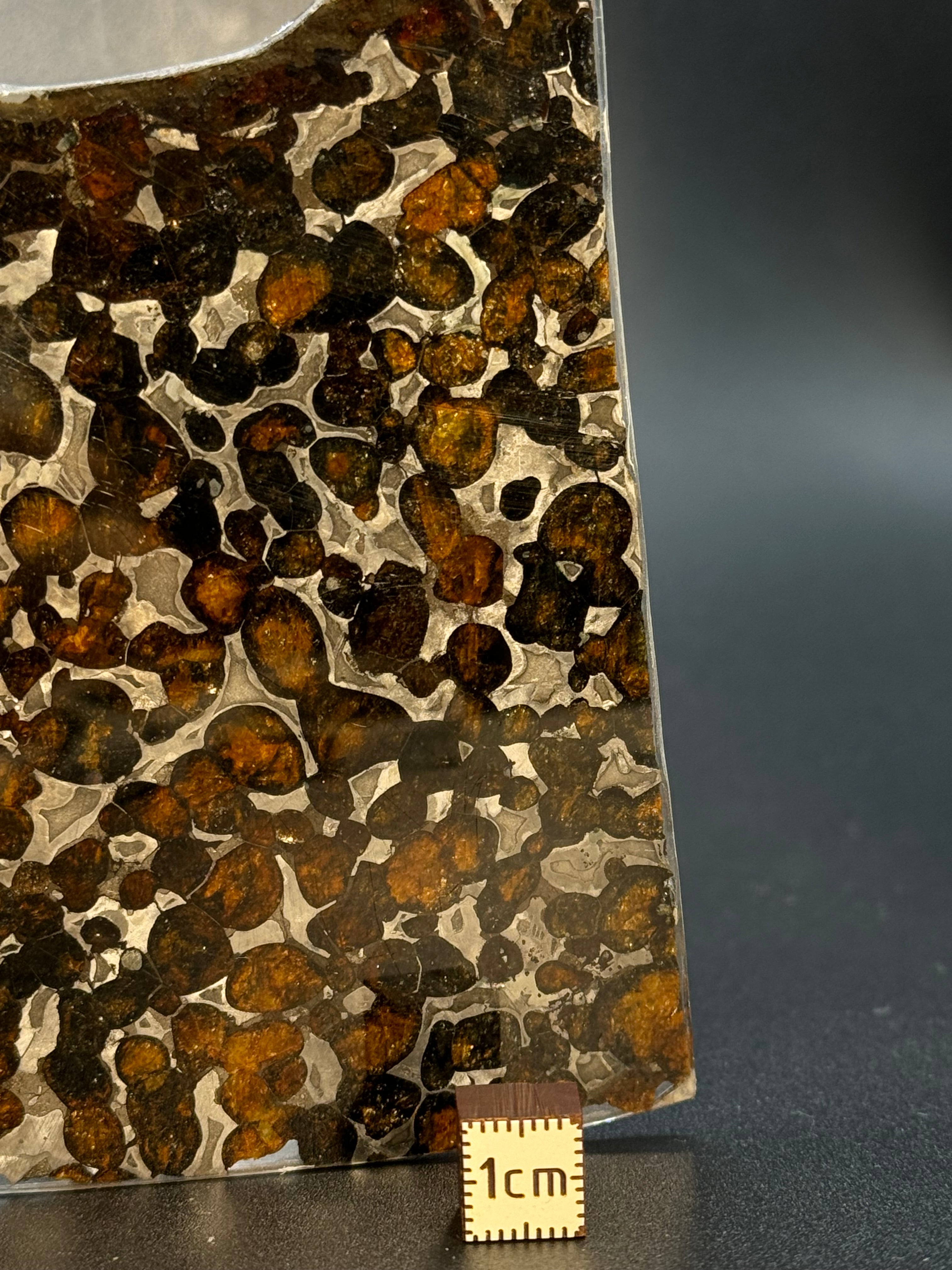 SERICHO METEORITE, KENYA. 66 GRAMS SLICE