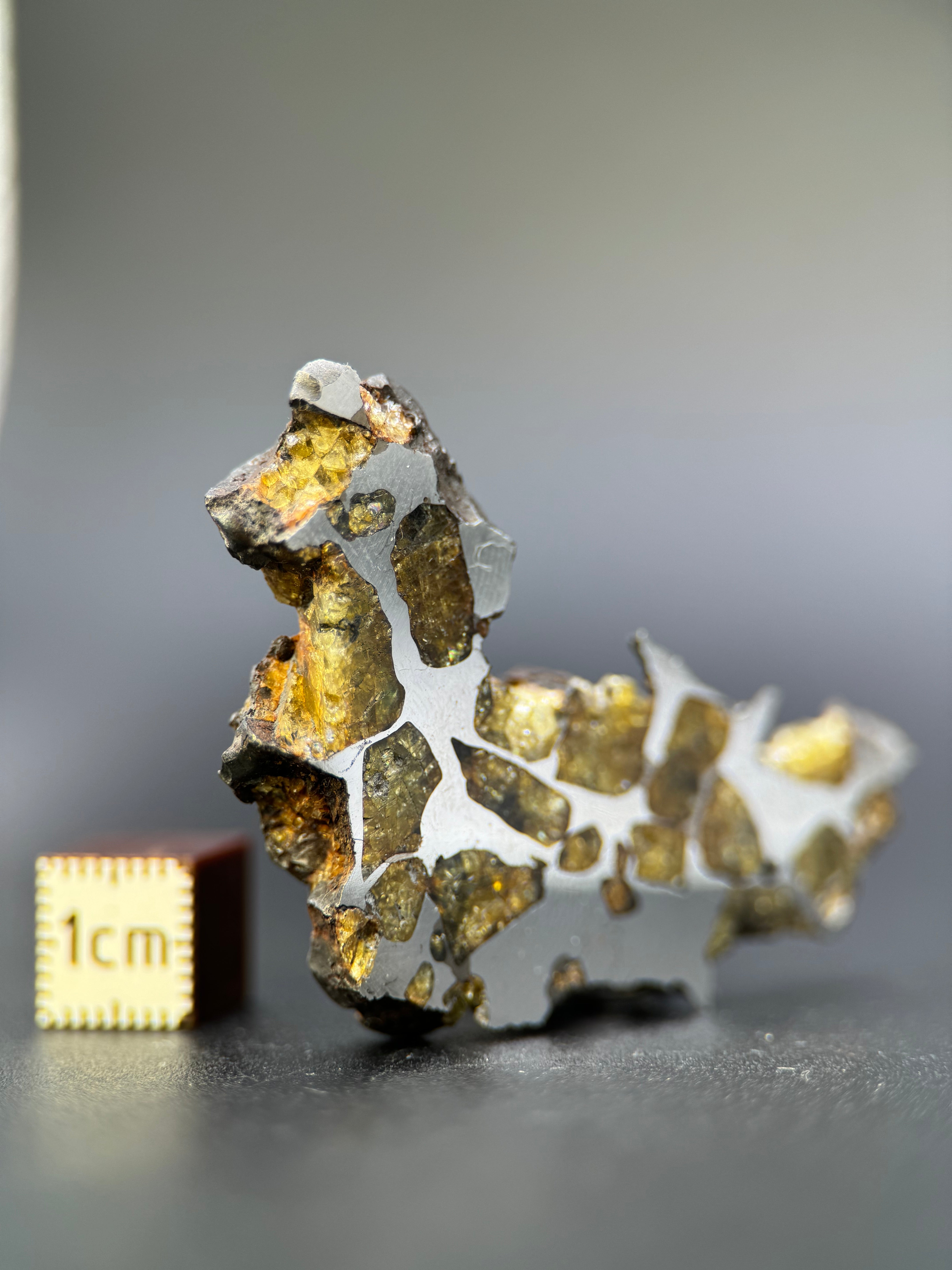 IMILAC PALLASITE METEORITE, END CUT, CHILE. 25,2 GRAMS.