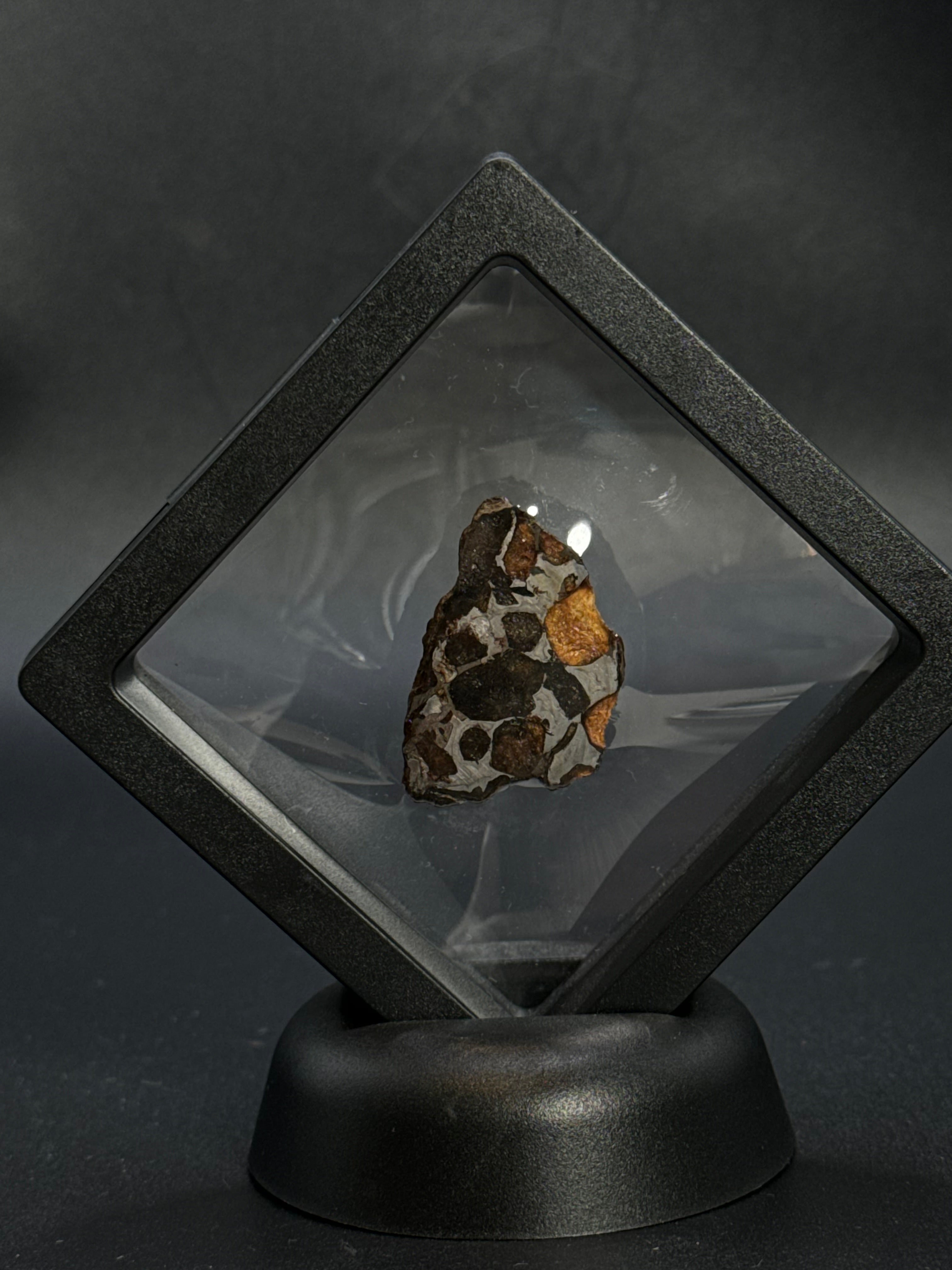 SERICHO PALLASITE METEORITE, KENYA. 12,03 GRAMS END-CUT