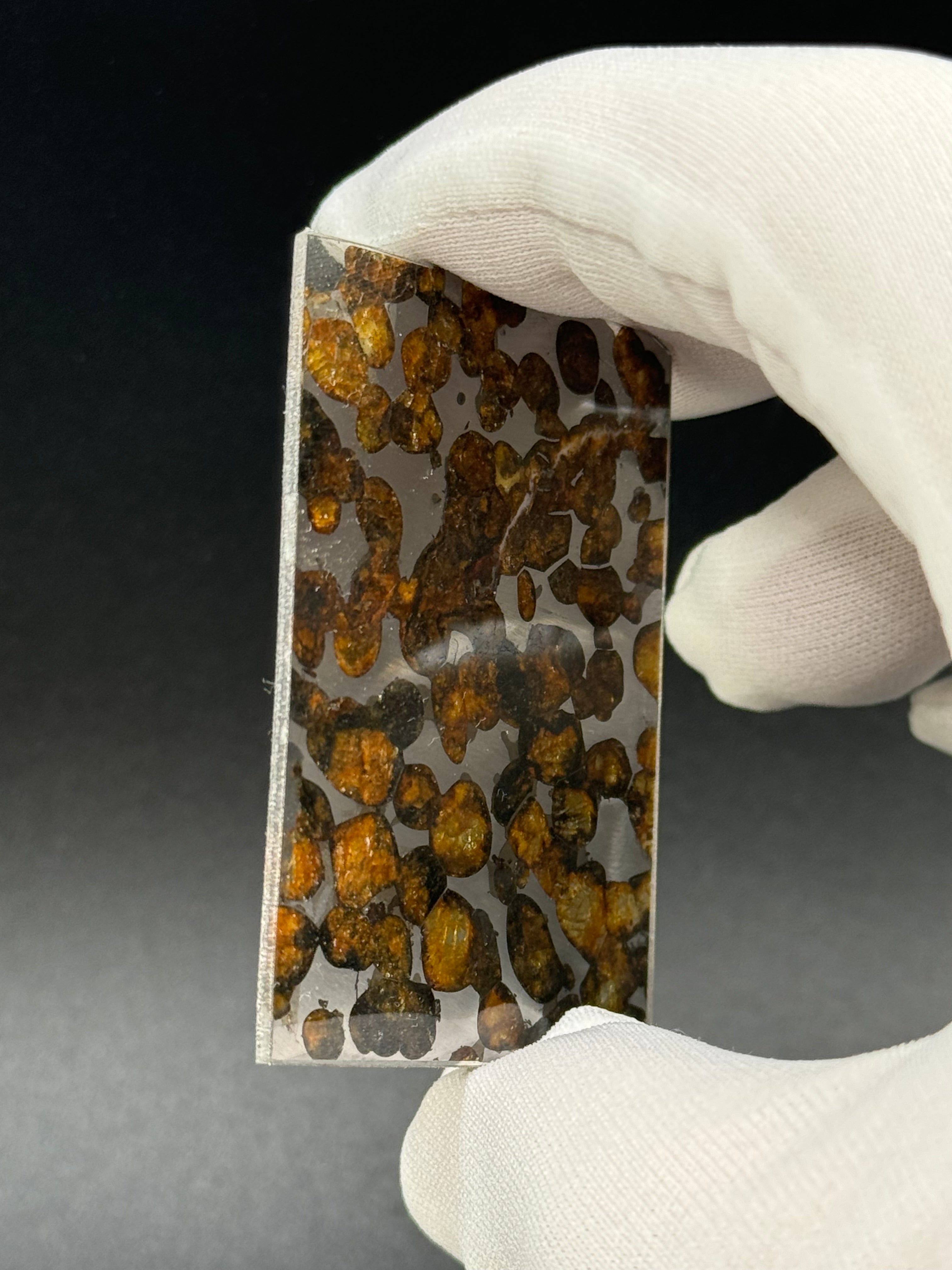 SERICHO METEORITE, KENYA. 10,36 GRAMS SLICE