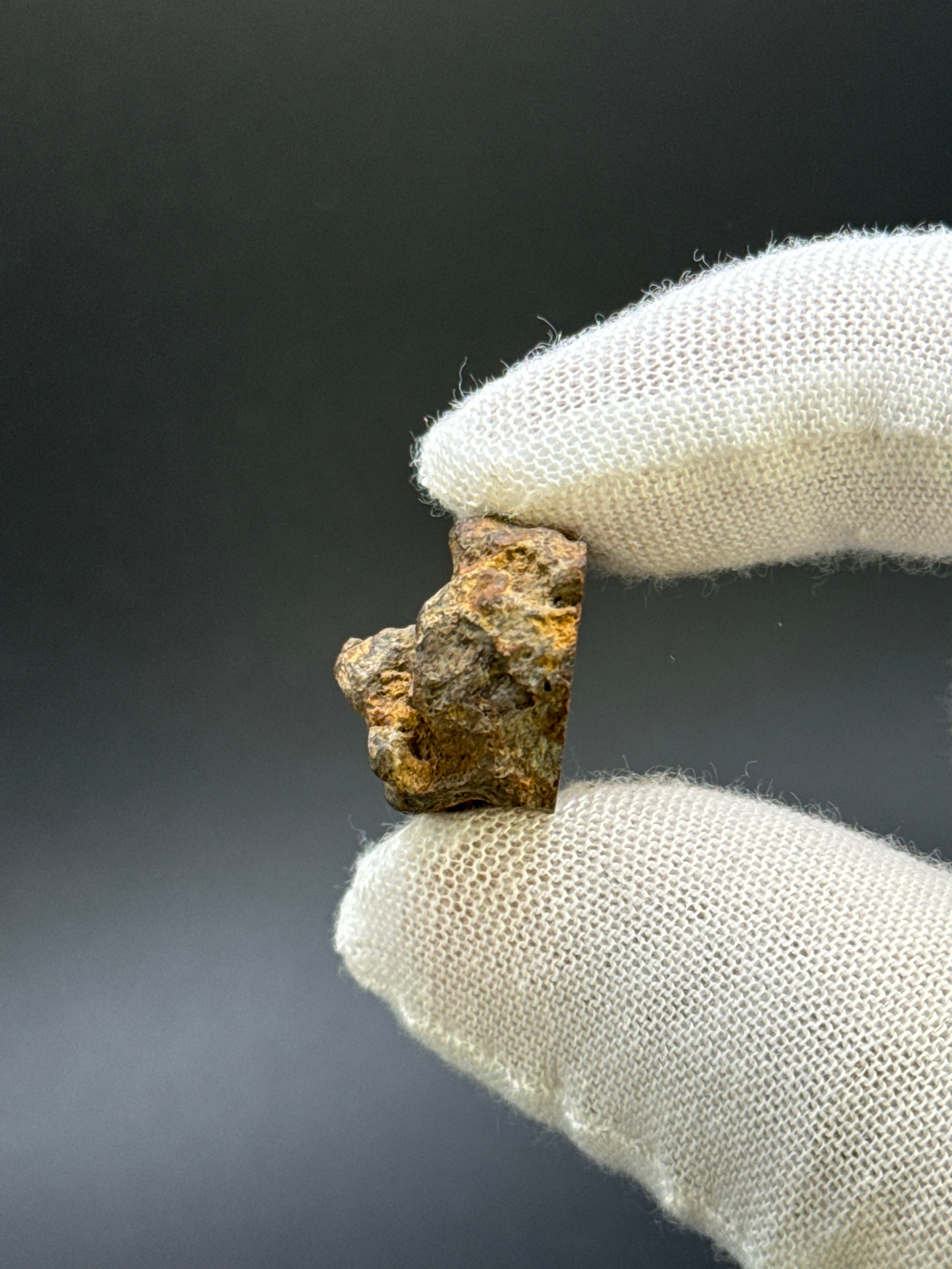 SERICHO PALLASITE METEORITE, KENYA. 13,49 GRAMS END-CUT