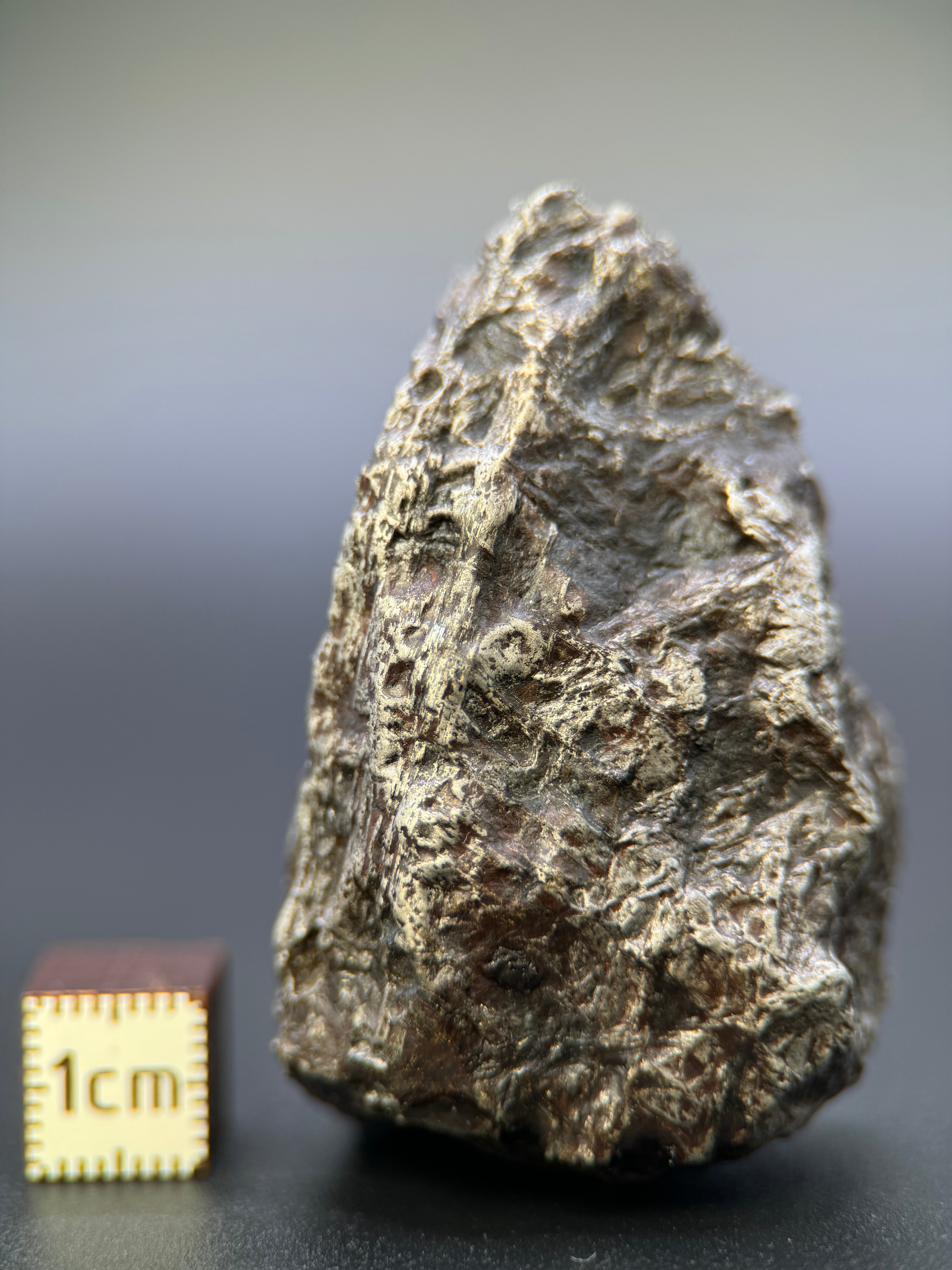 MUONIONALUSTA METEORITE, SWEDEN. 129,8 GRAMS END-CUT