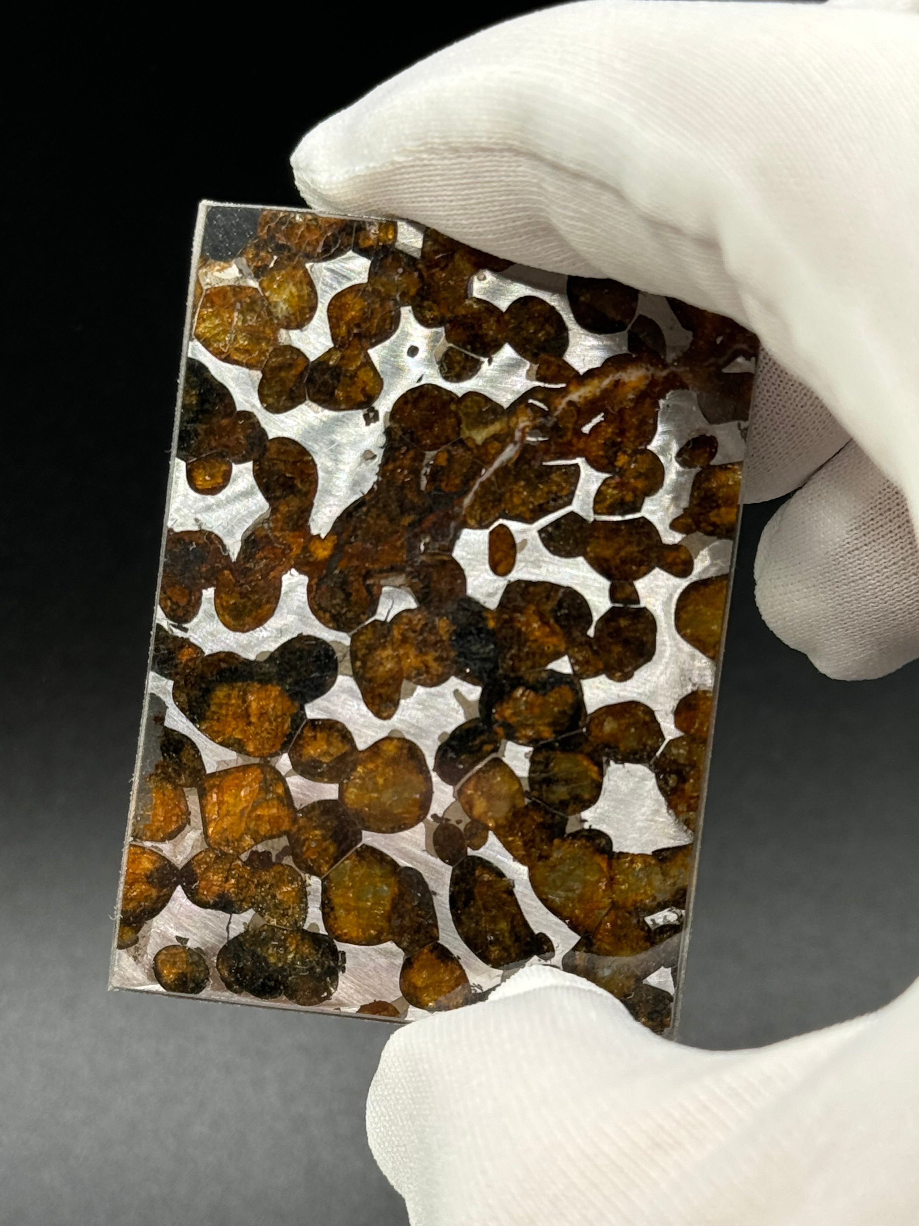 SERICHO METEORITE, KENYA. 10,36 GRAMS SLICE