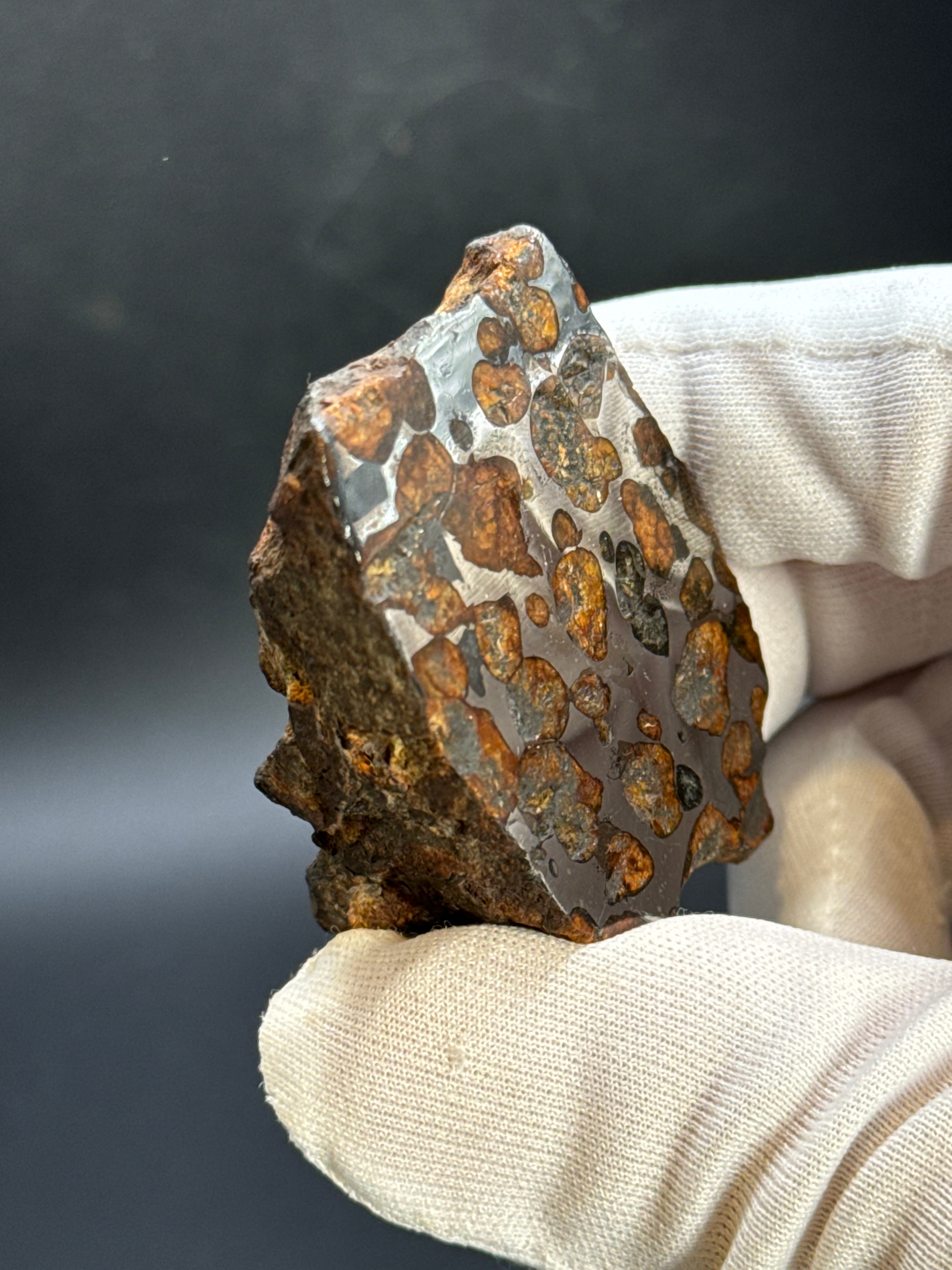 SERICHO PALLASITE METEORITE, KENYA. 92,90 GRAMS END-CUT.