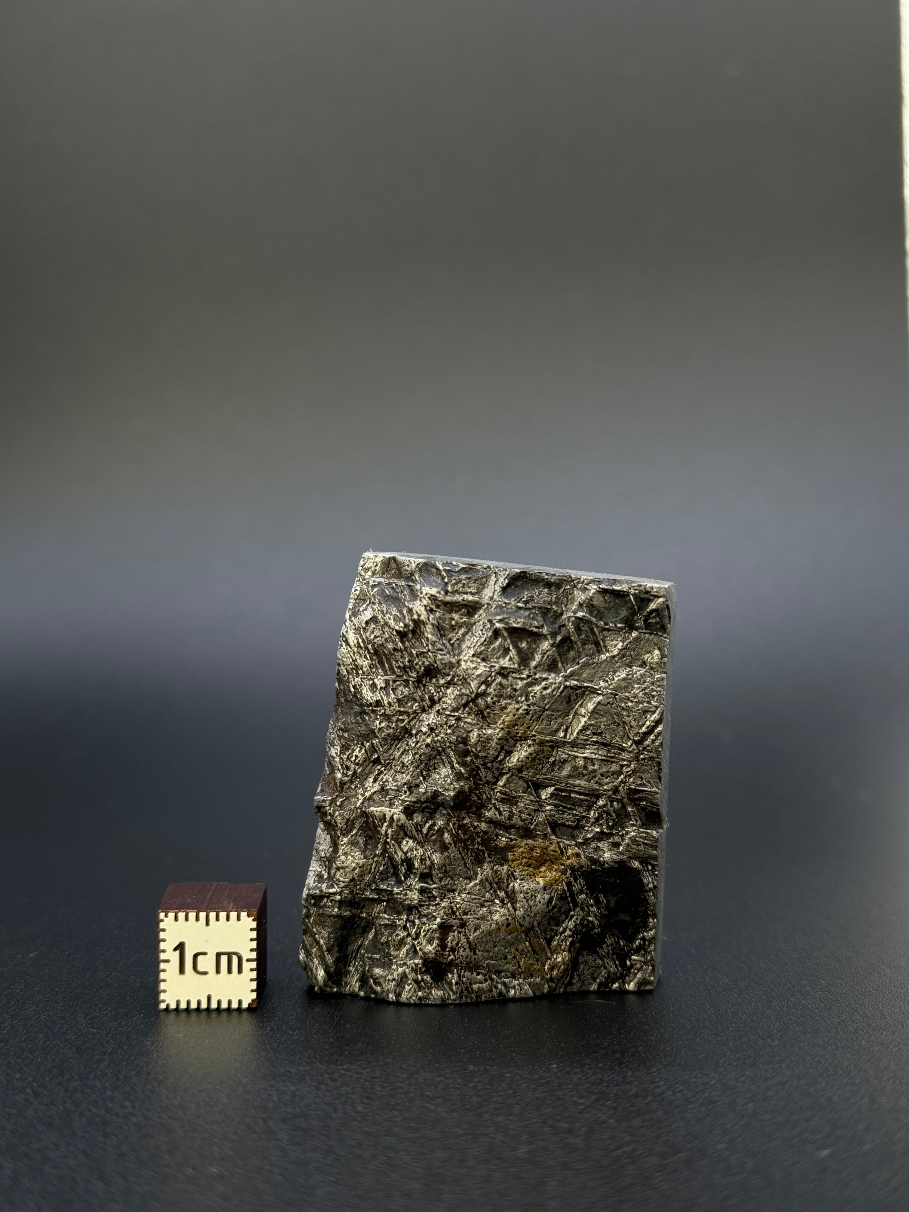 MUONIONALUSTA METEORITE, SWEDEN. 132,8 GRAMS END-CUT.