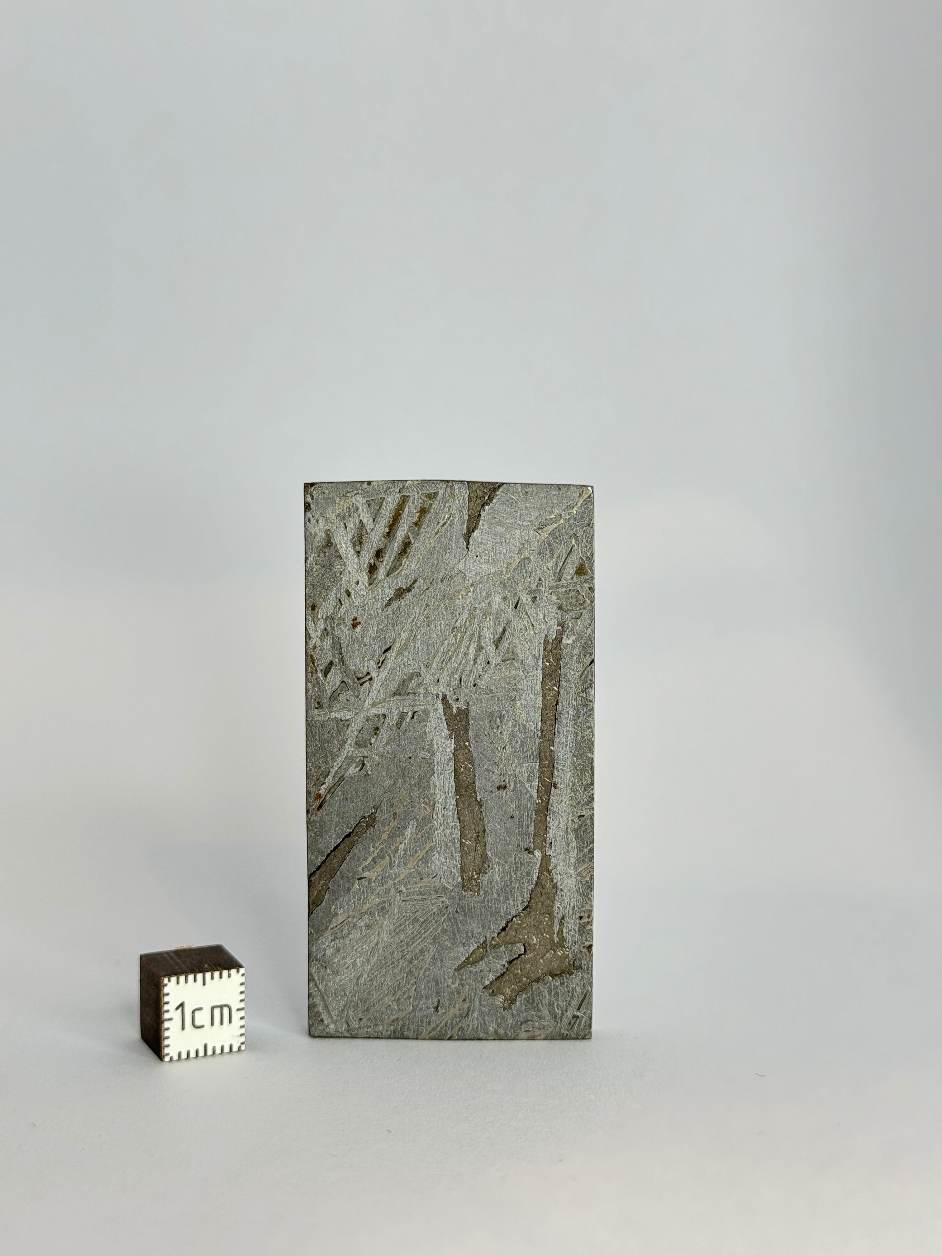Aletai Meteorite, Gobi Desert. 79.15g slice