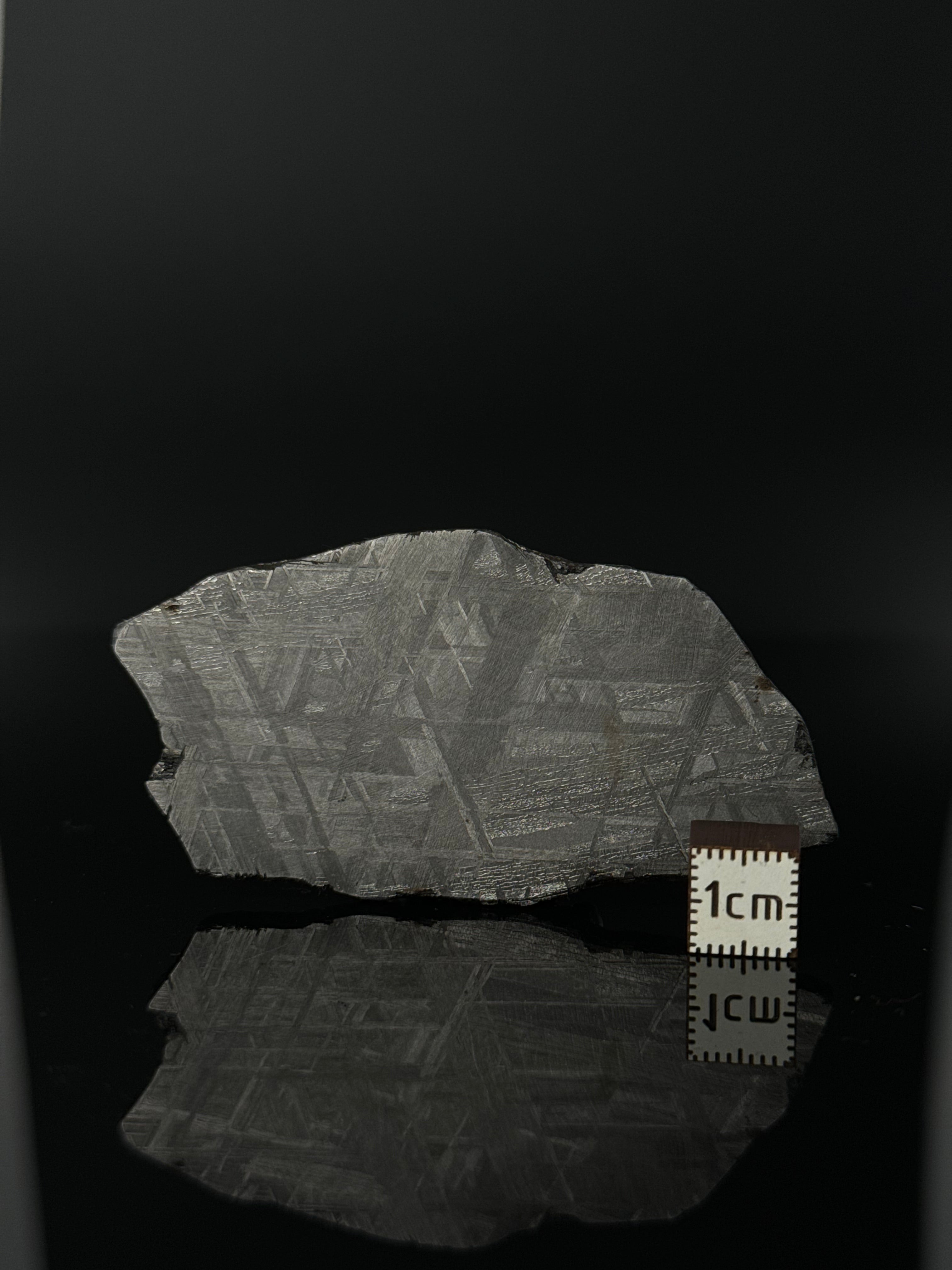 MUONIONALUSTA METEORITE, SWEDEN 49,32 GRAMS.