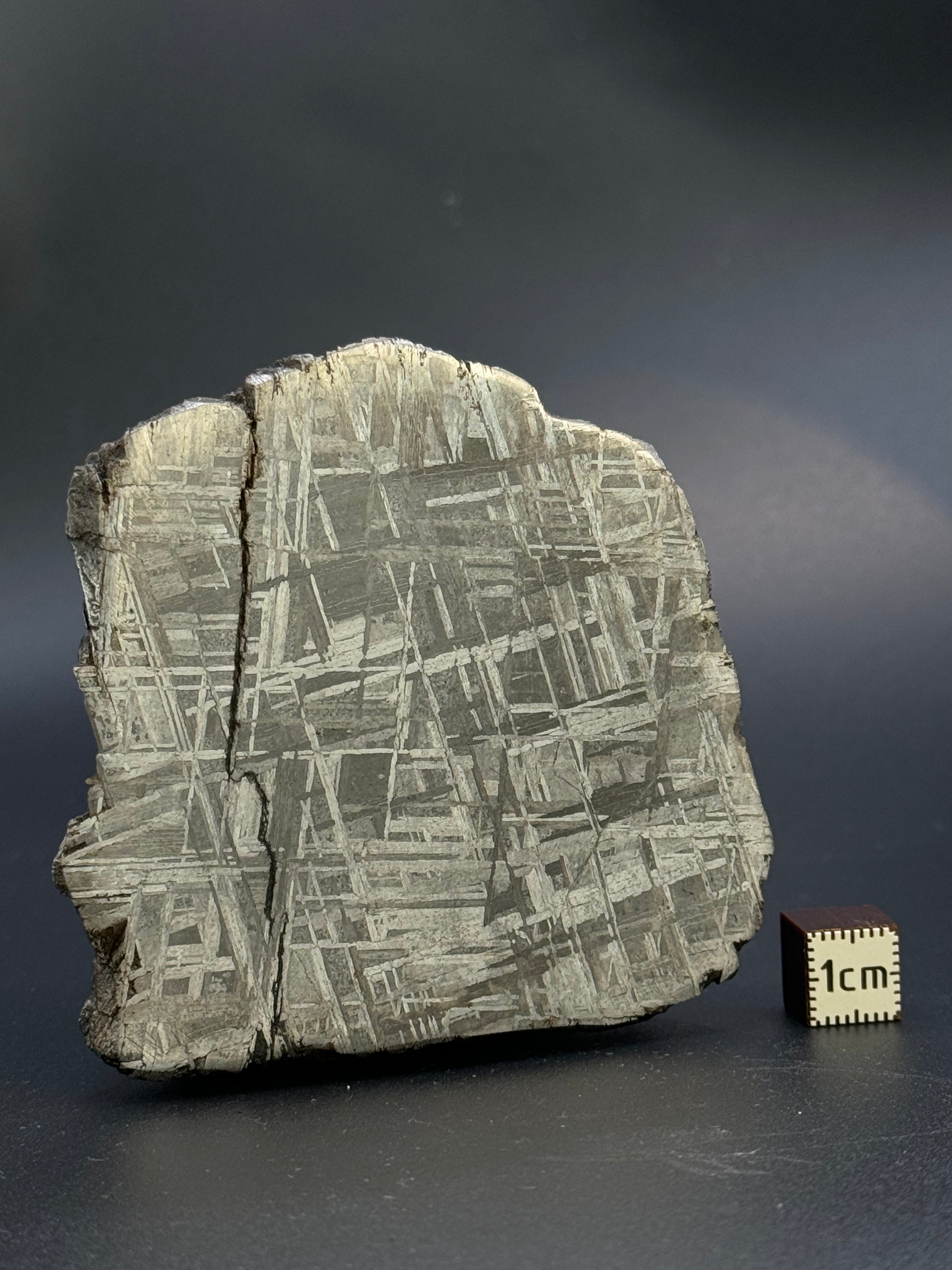 MUONIONALUSTA METEORITE, SWEDEN. 701 GRAMS END-CUT.