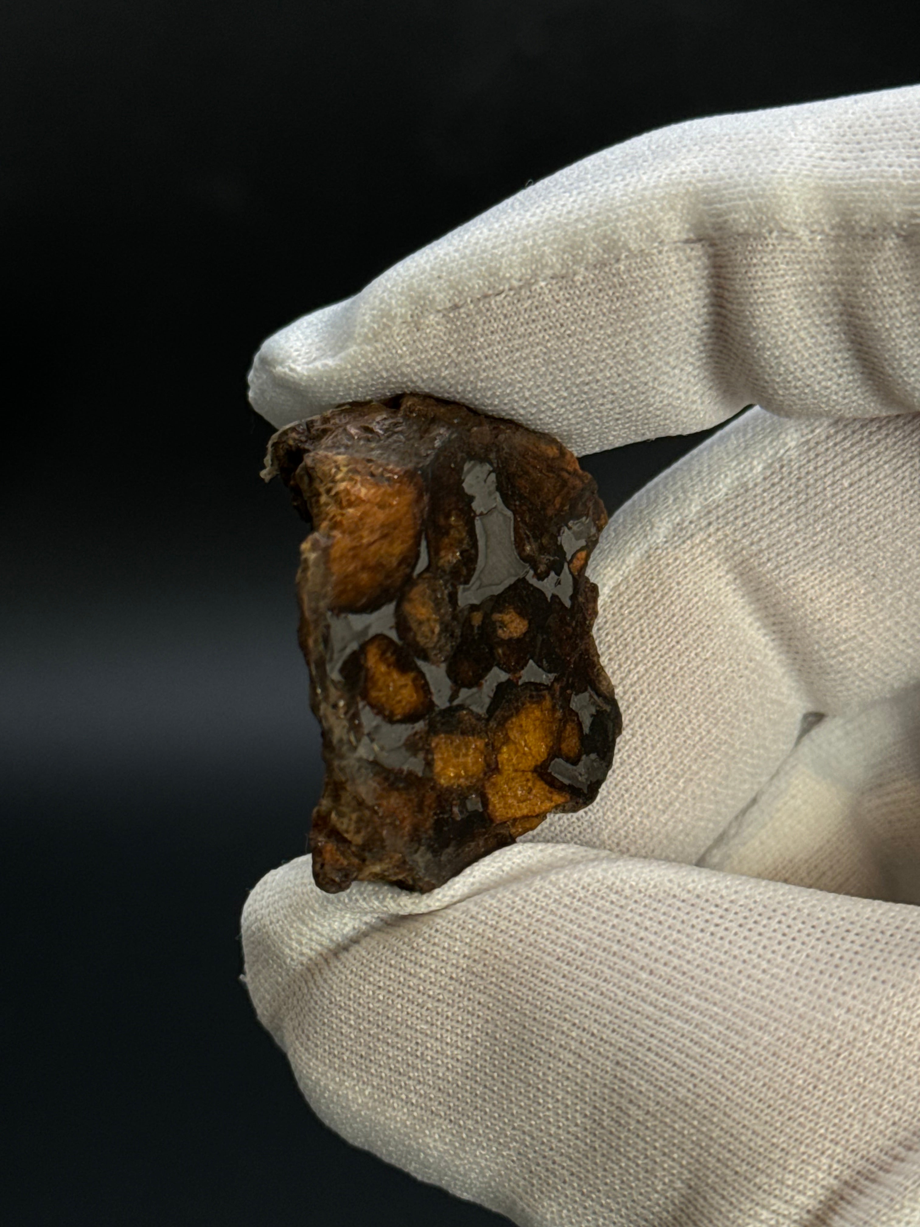 SERICHO PALLASITE METEORITE, KENYA. 17,83 GRAMS END-CUT