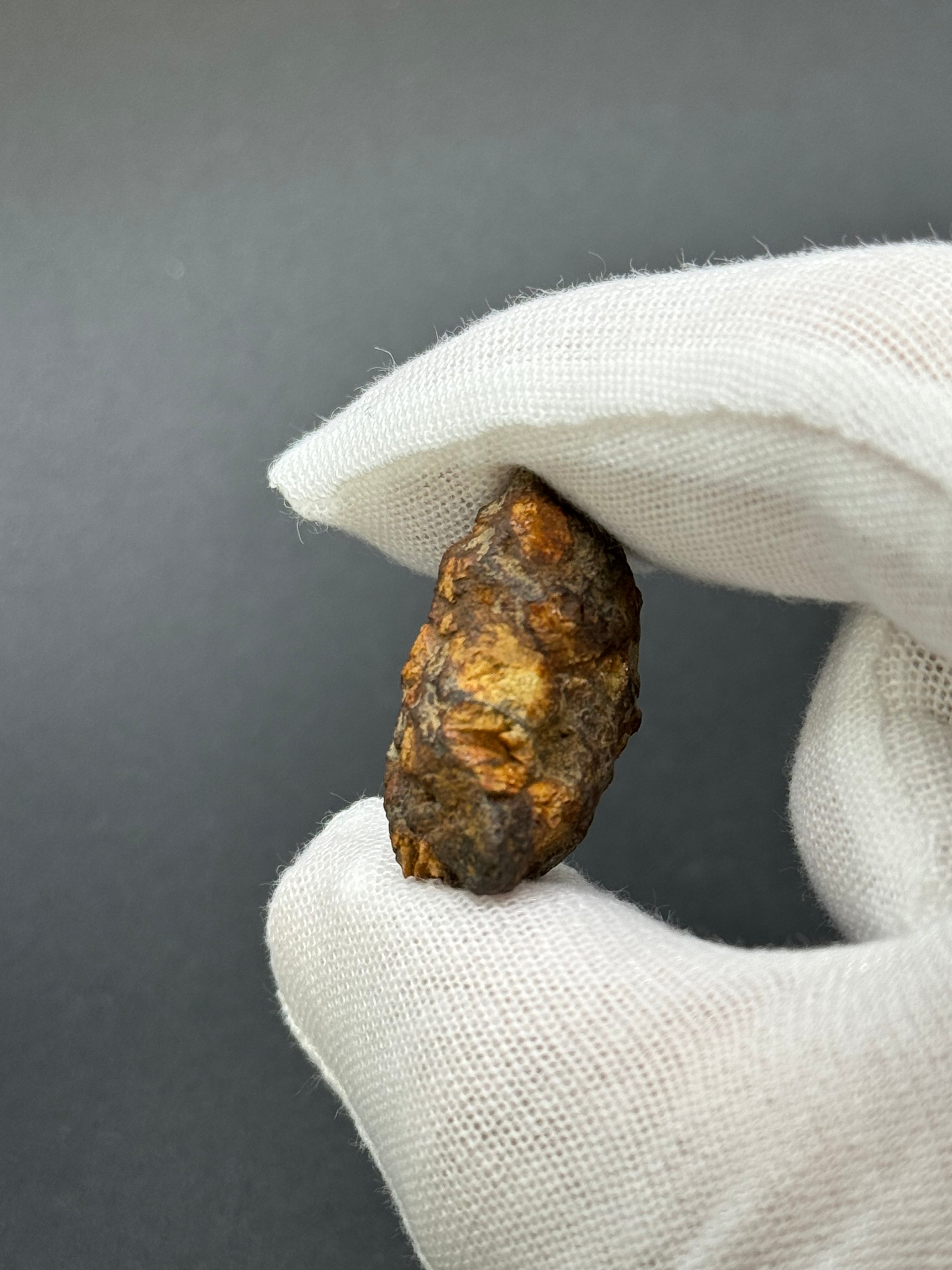 SERICHO PALLASITE METEORITE, KENYA. 9,56 GRAMS END-CUT
