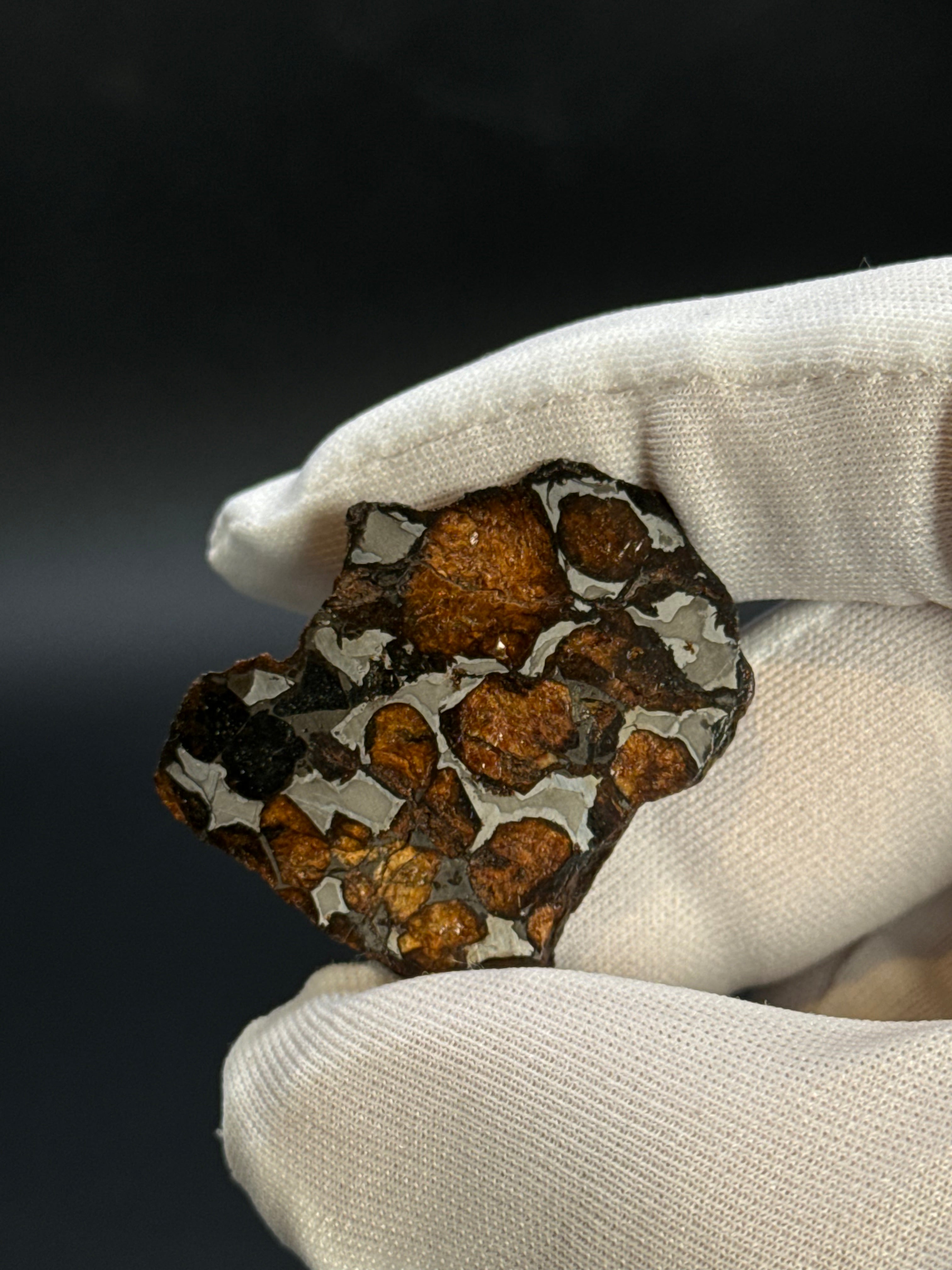 SERICHO PALLASITE METEORITE, KENYA. 15,28 GRAMS END-CUT