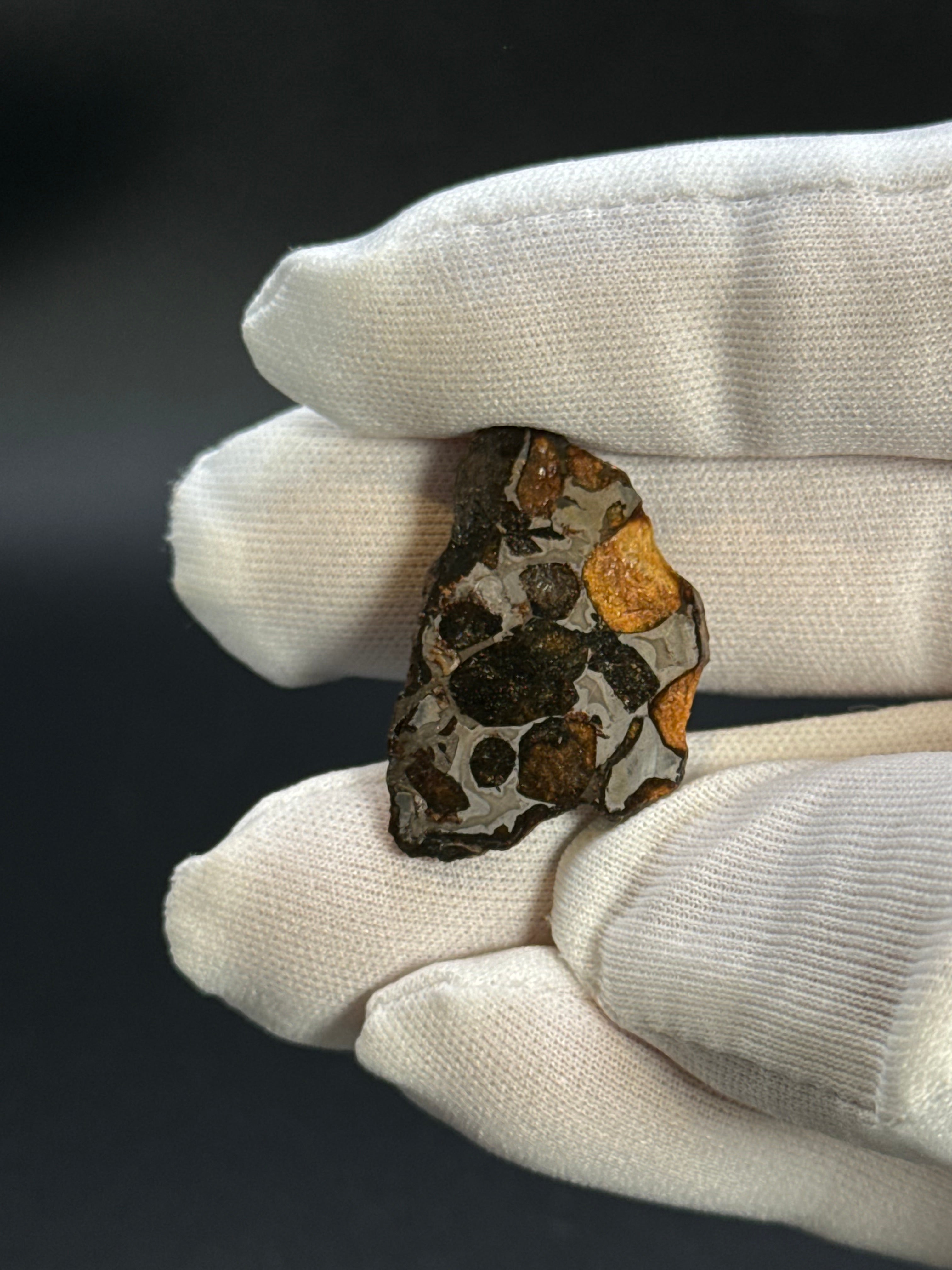 SERICHO PALLASITE METEORITE, KENYA. 12,03 GRAMS END-CUT