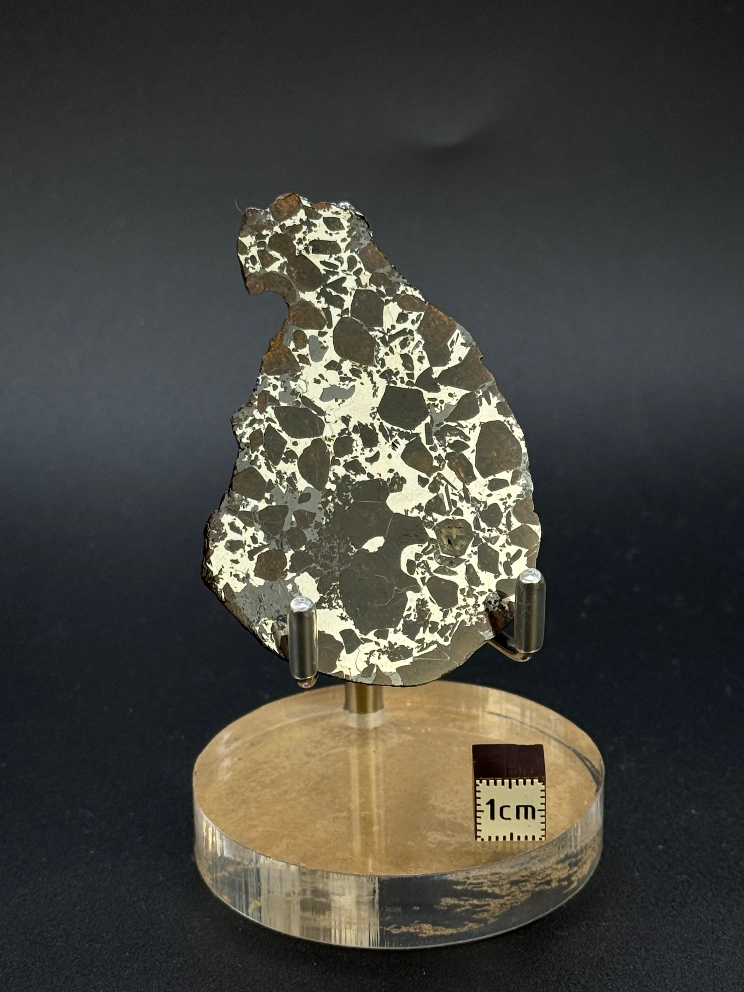 SEYMCHAN METEORITE, MAGADAN REGION, RUSSIA. End-cut 40,3 GRAMS.
