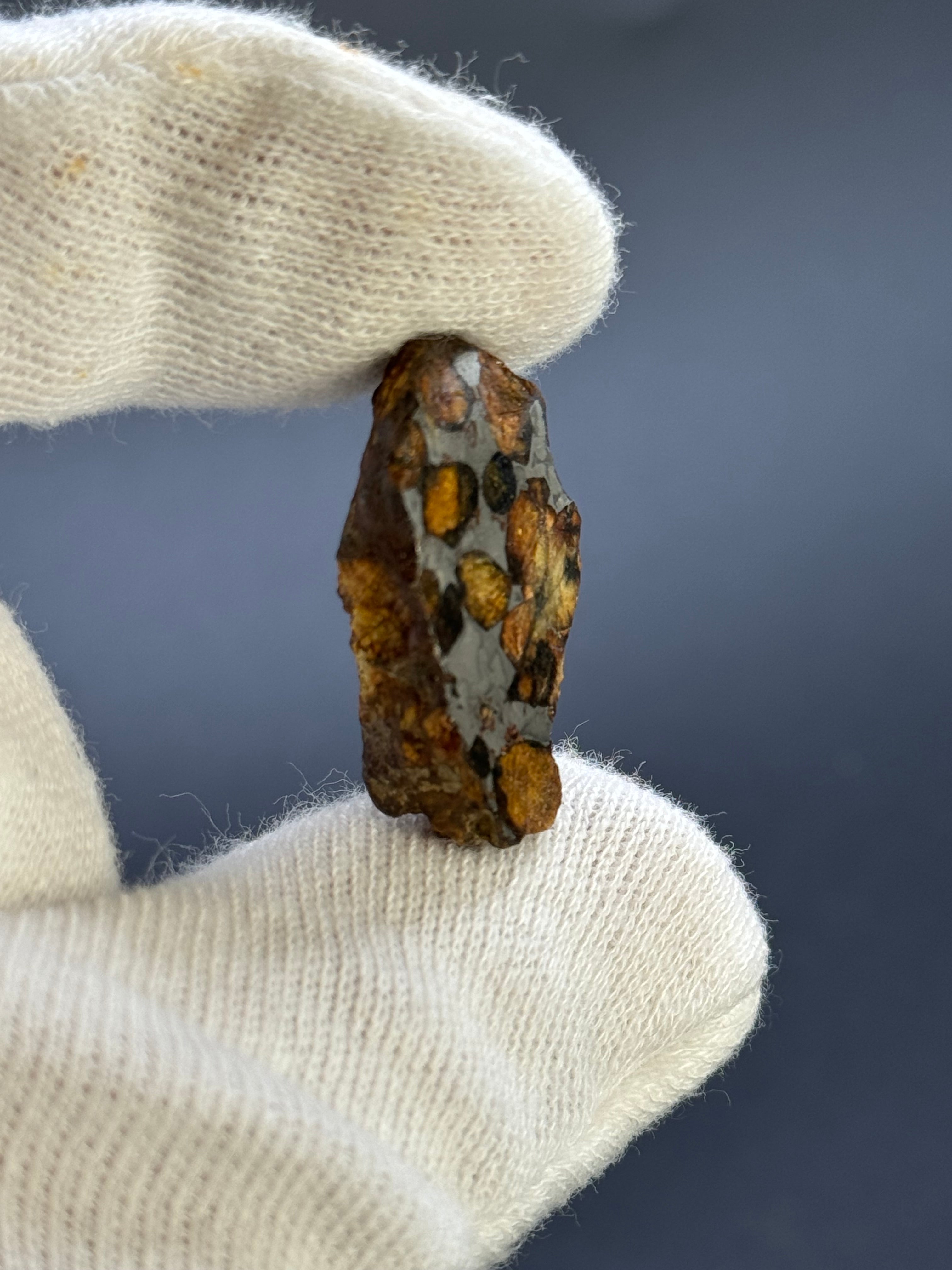 SERICHO PALLASITE METEORITE, KENYA. 13,40 GRAMS END-CUT