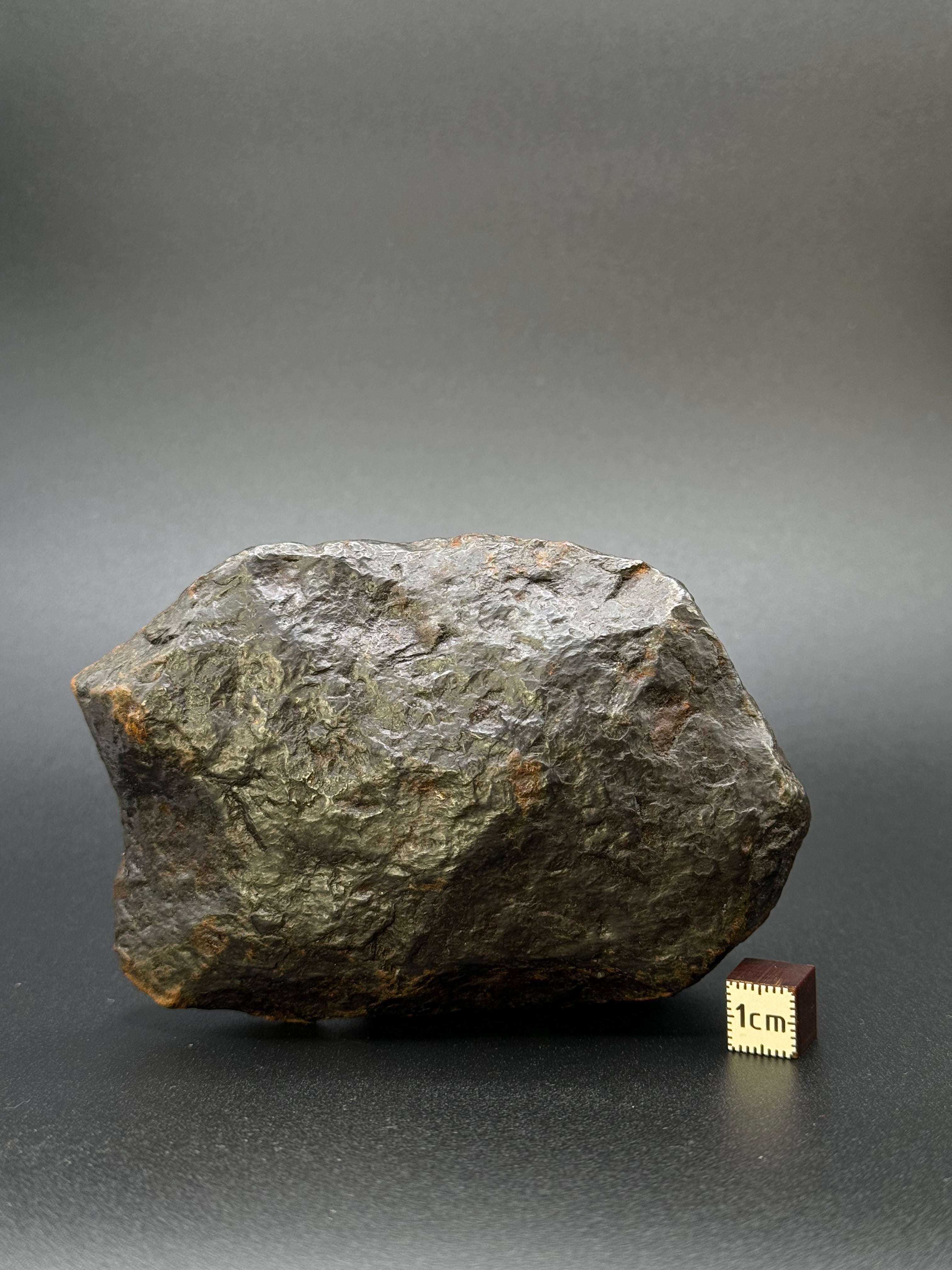 MUONIONALUSTA METEORITE, SWEDEN. FULL METEORITE 1104 GRAMS.